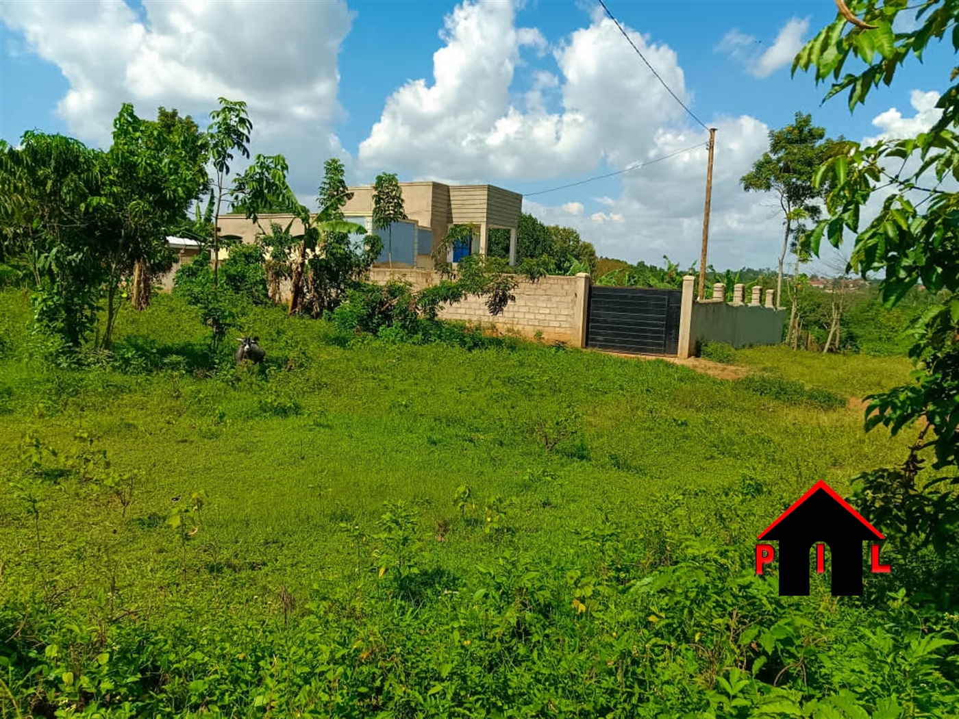 Residential Land for sale in Kyabakadde Mukono