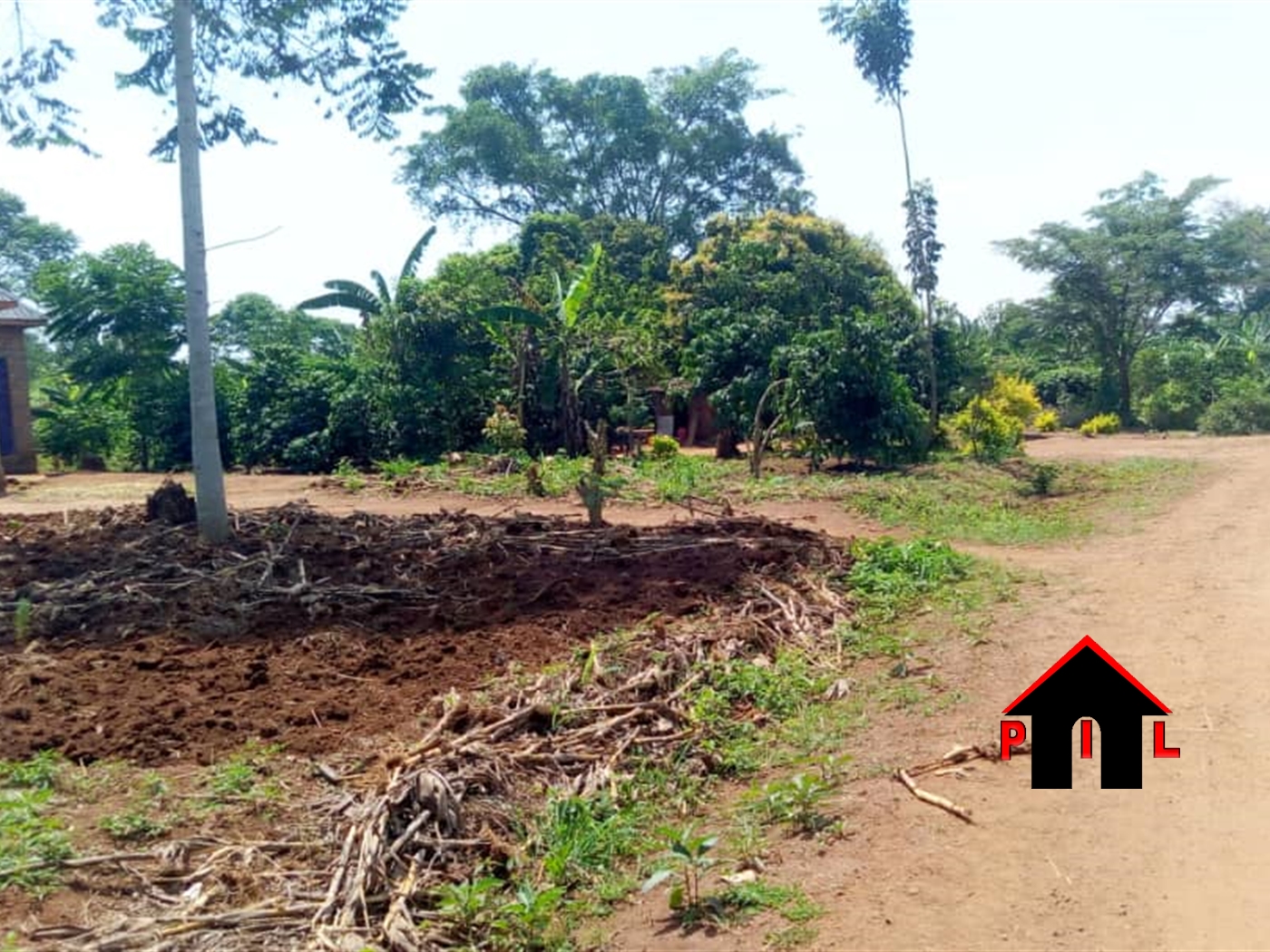 Commercial Land for sale in Nalongo Luweero