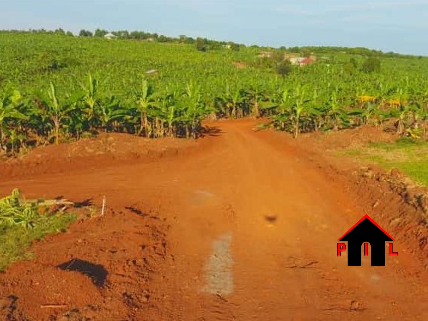 Residential Land for sale in Rukuba Mbarara