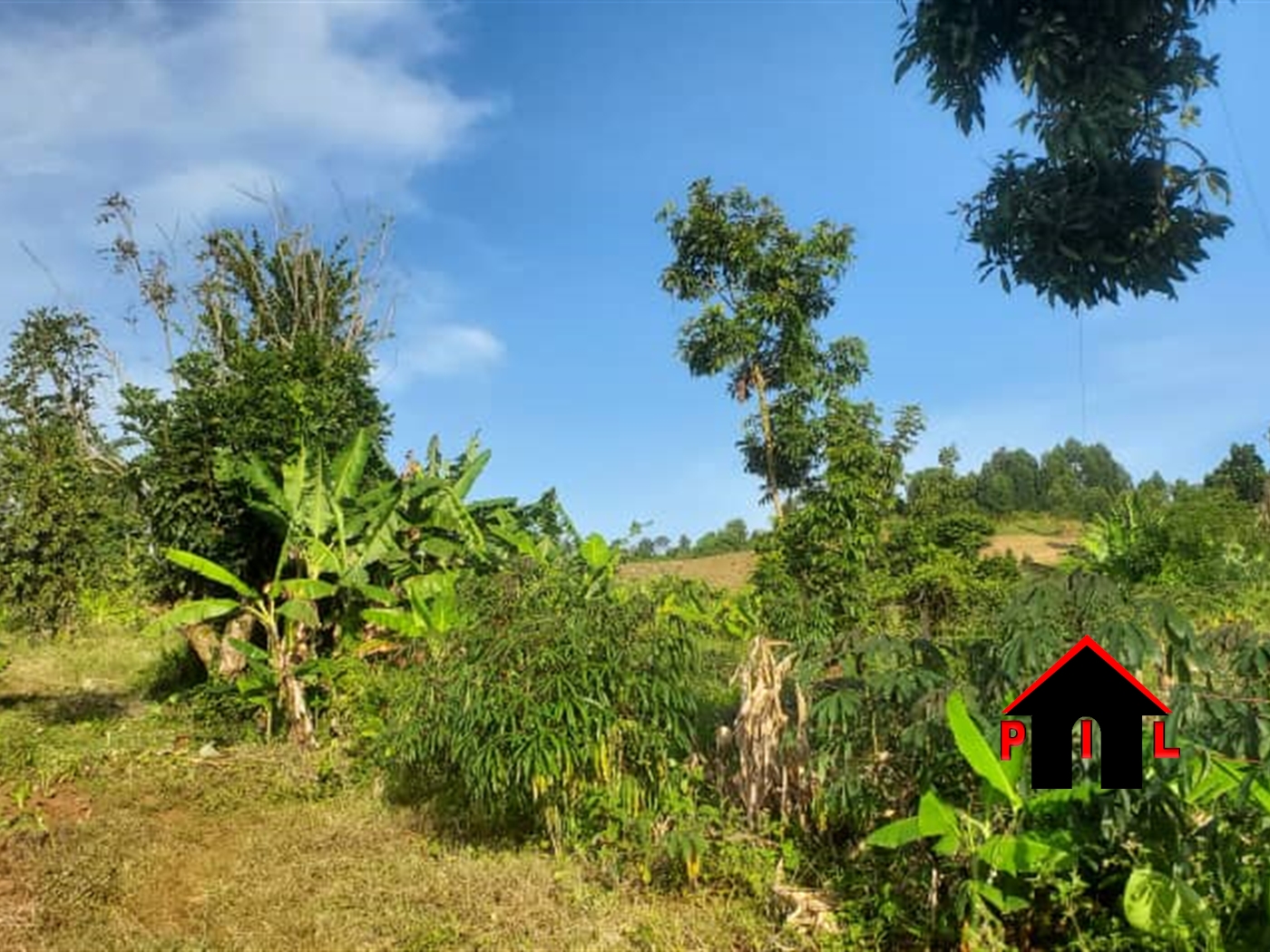 Commercial Land for sale in Kamengo Mpigi