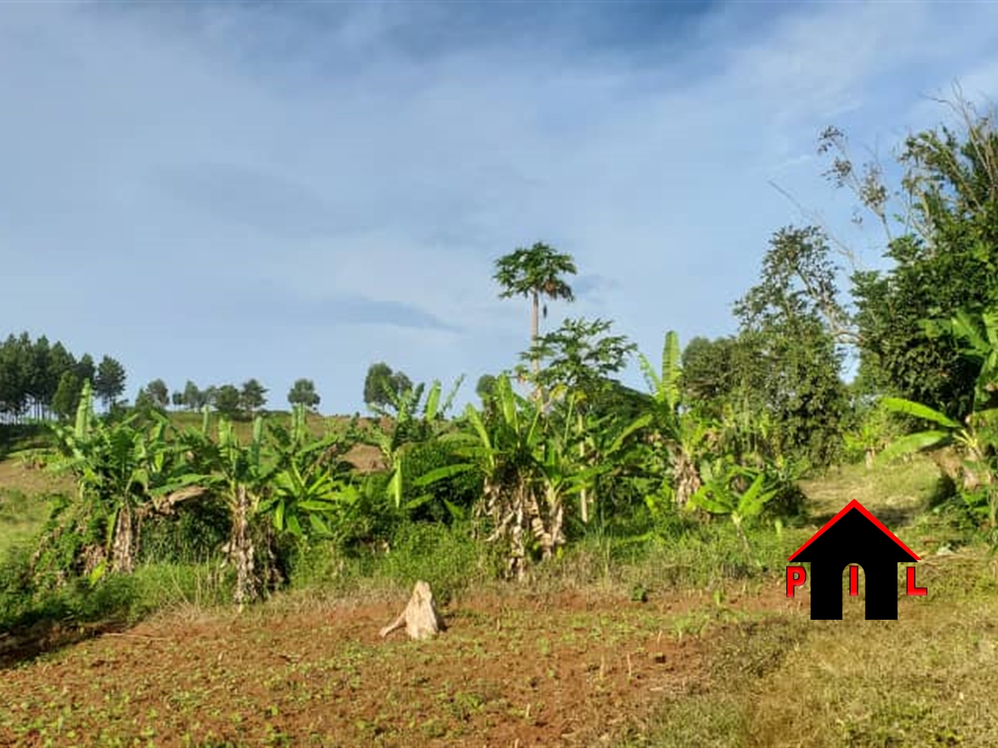 Commercial Land for sale in Kamengo Mpigi