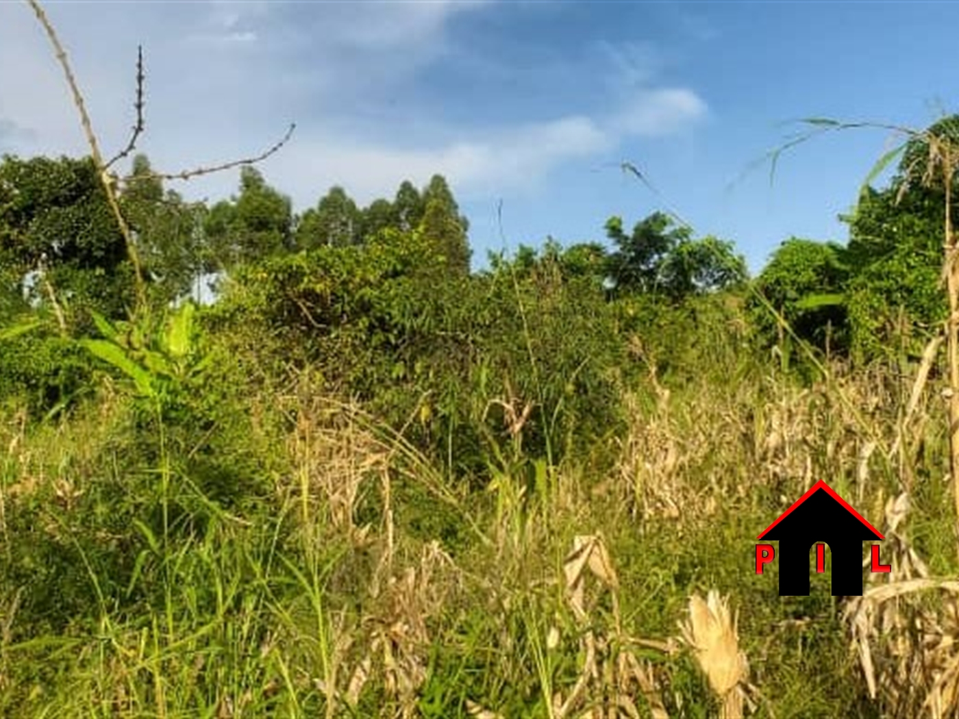 Commercial Land for sale in Kamengo Mpigi