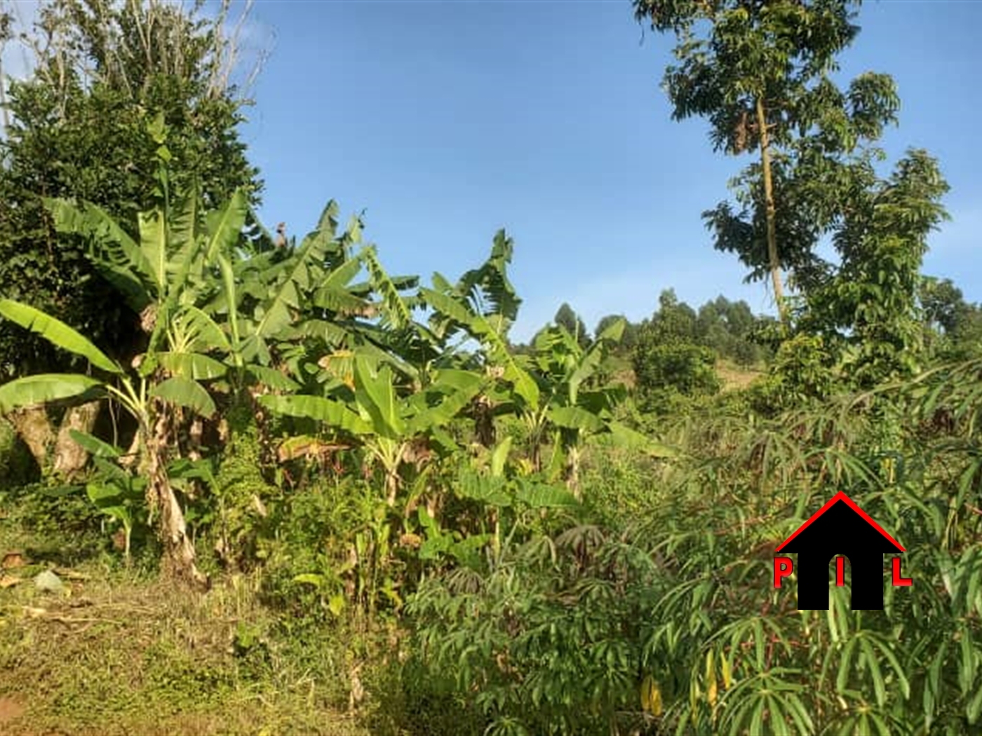 Commercial Land for sale in Kamengo Mpigi