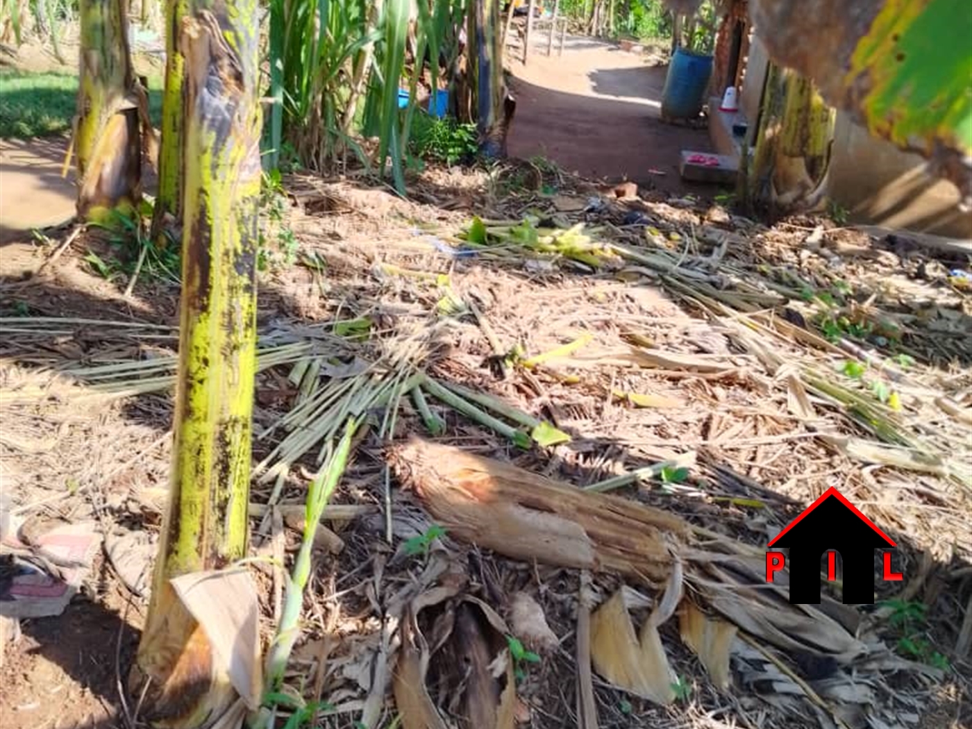 Agricultural Land for sale in Busiika Mpigi