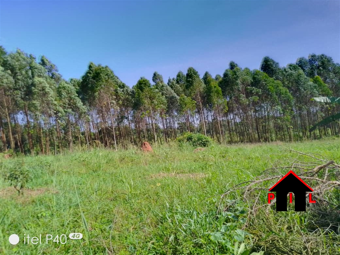 Agricultural Land for sale in Busiika Mpigi