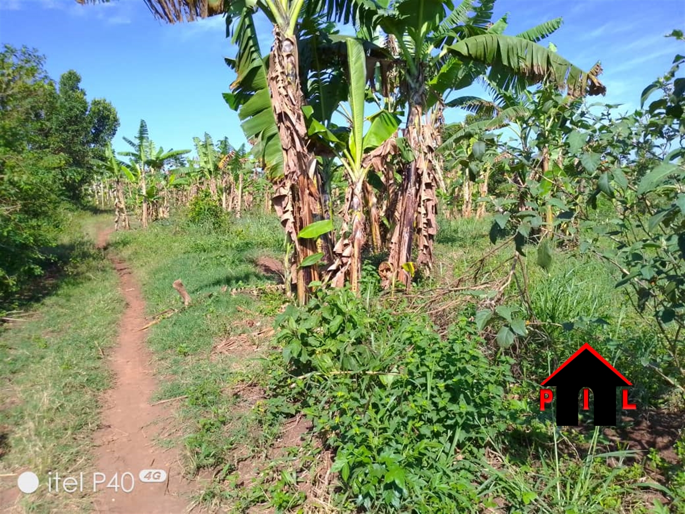 Agricultural Land for sale in Busiika Mpigi