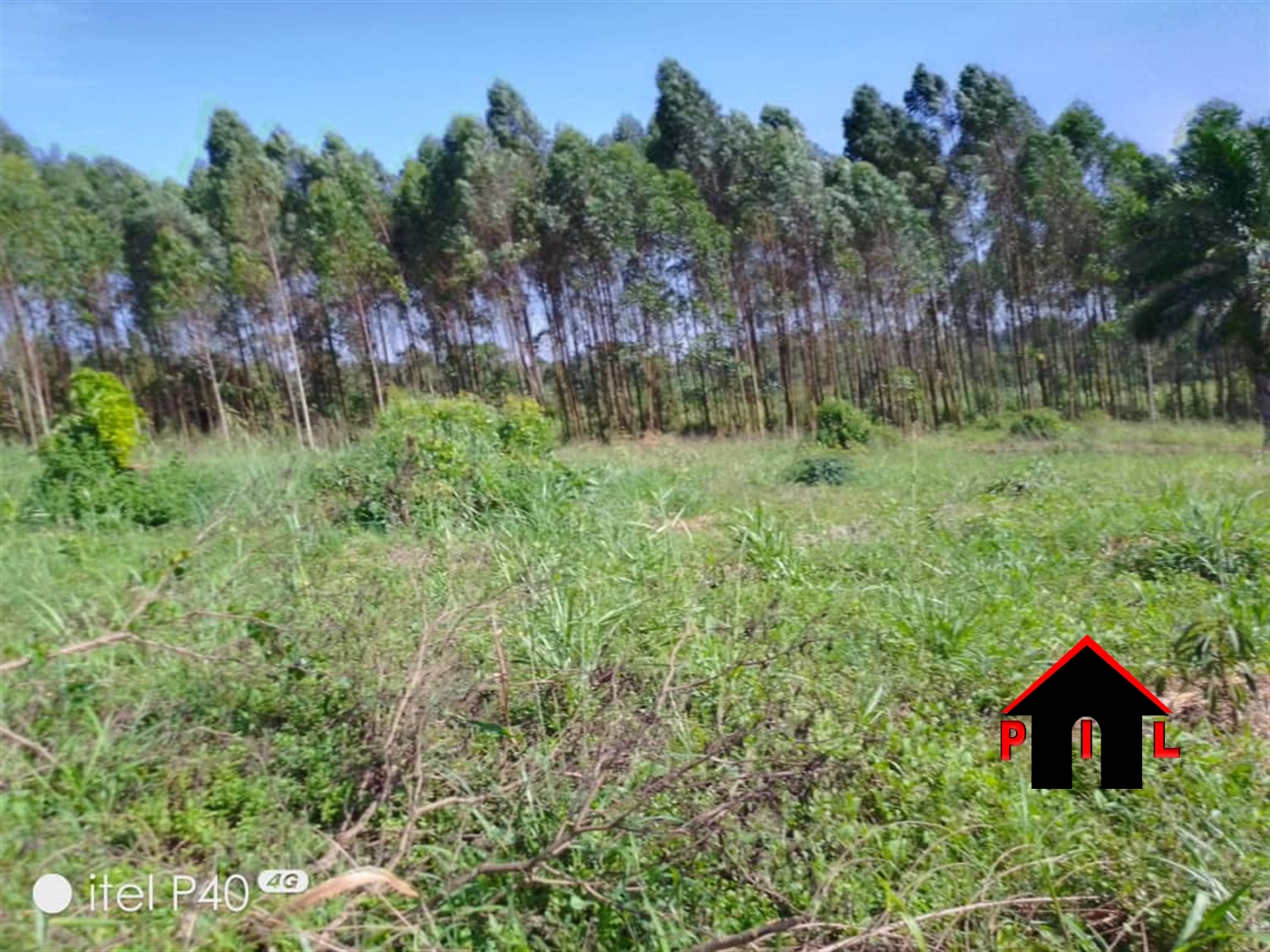 Agricultural Land for sale in Busiika Mpigi