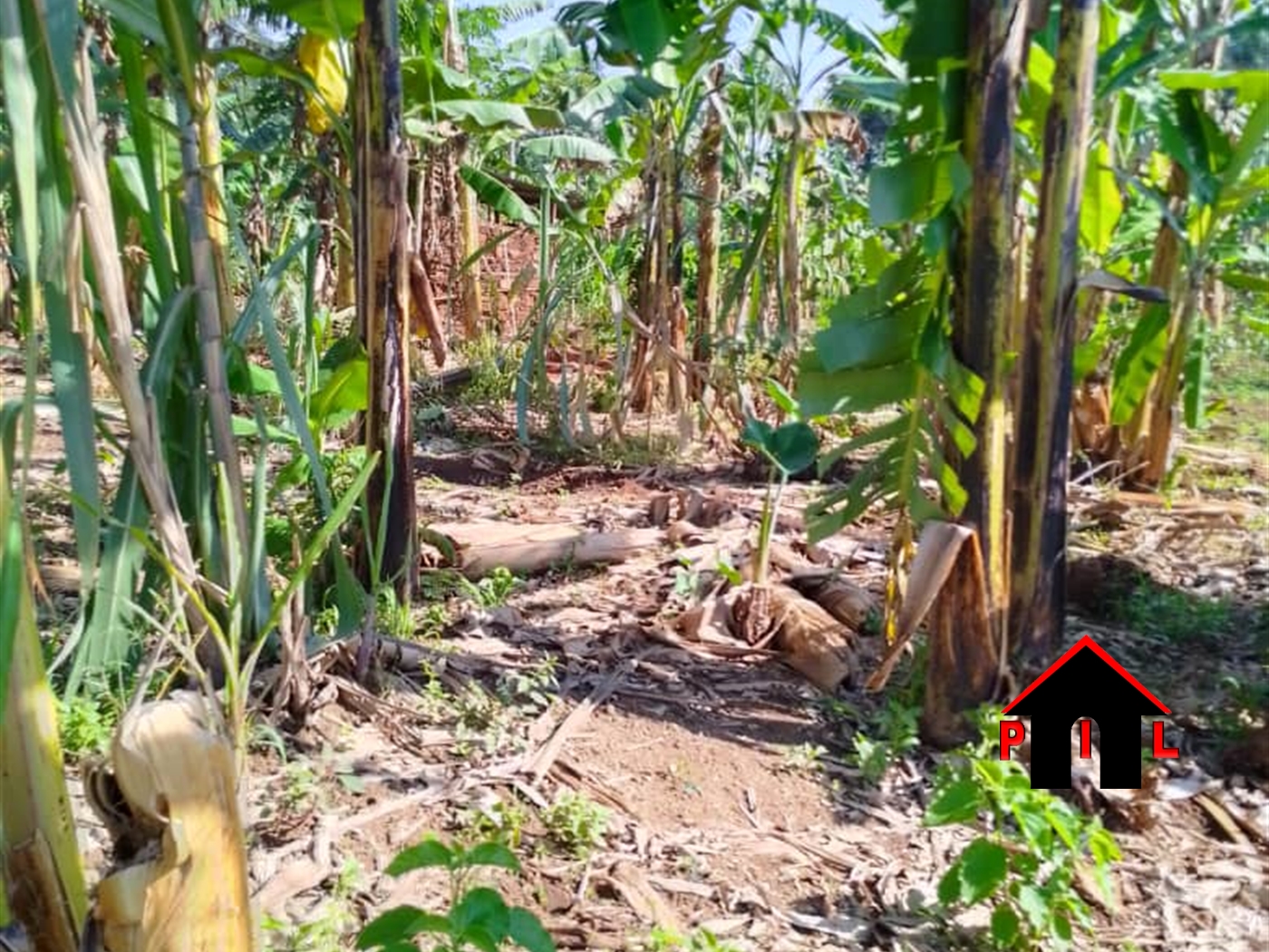 Agricultural Land for sale in Busiika Mpigi