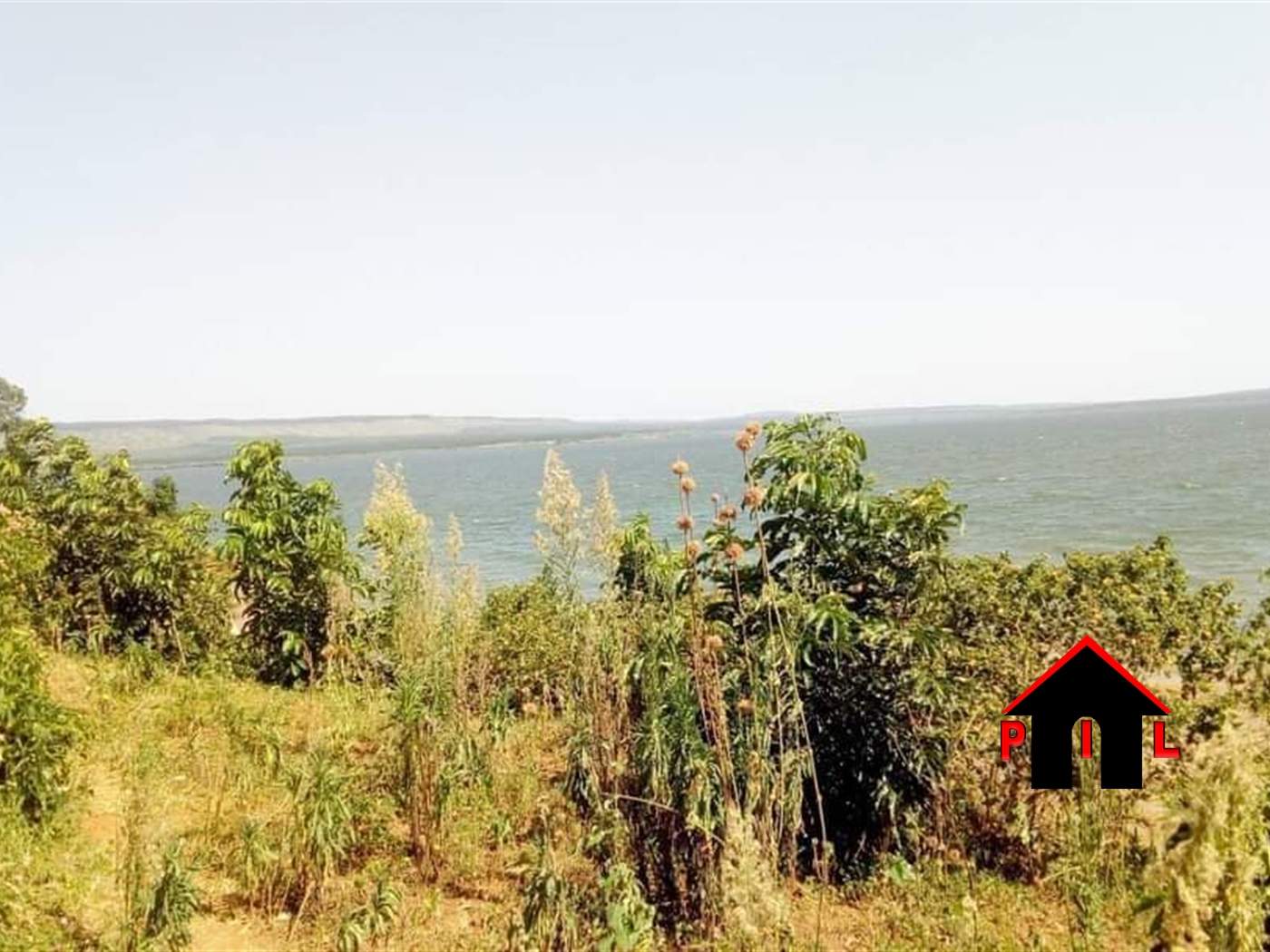 Agricultural Land for rent in Buwaya Mayuge