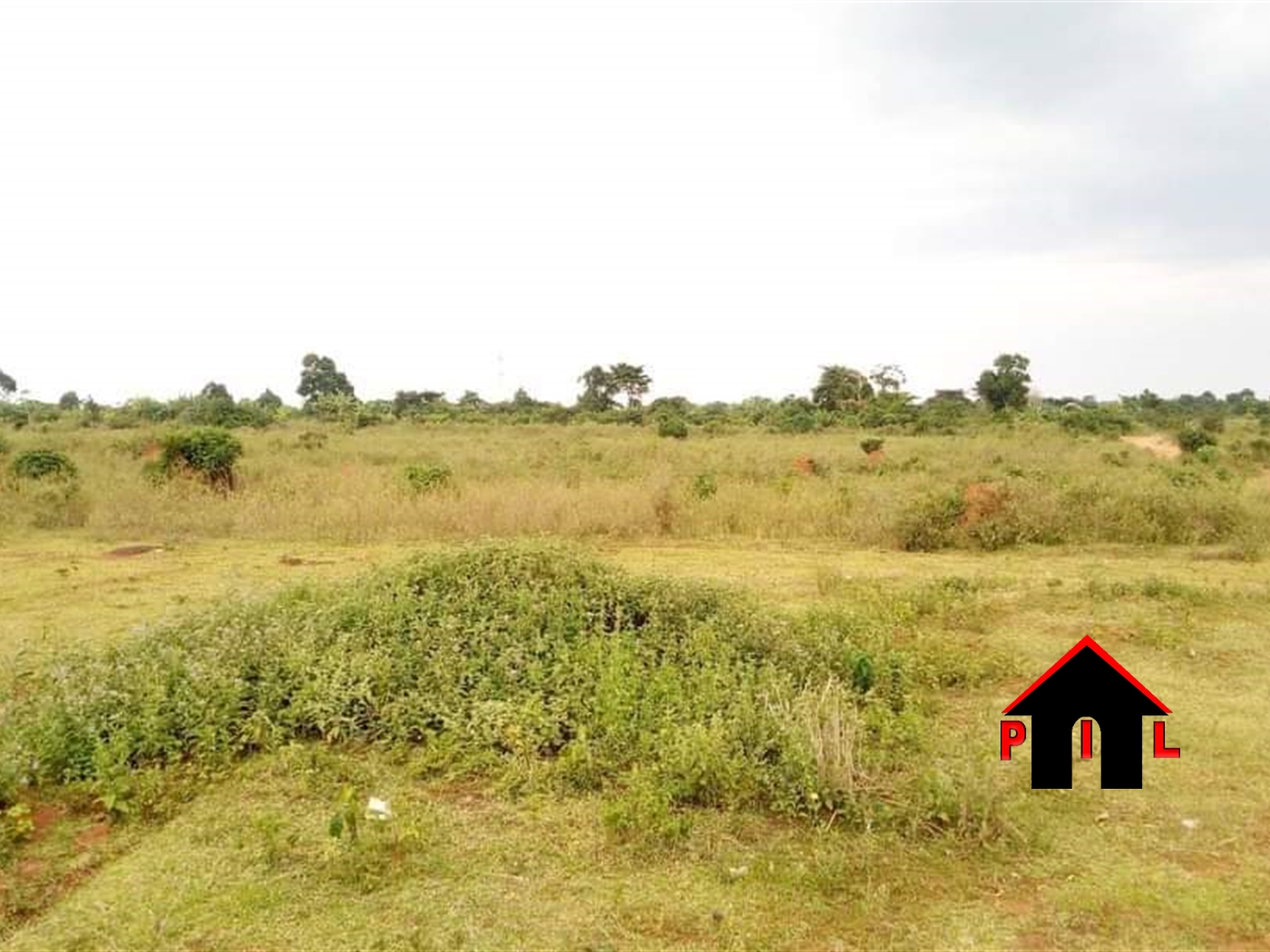 Agricultural Land for rent in Buwaya Mayuge