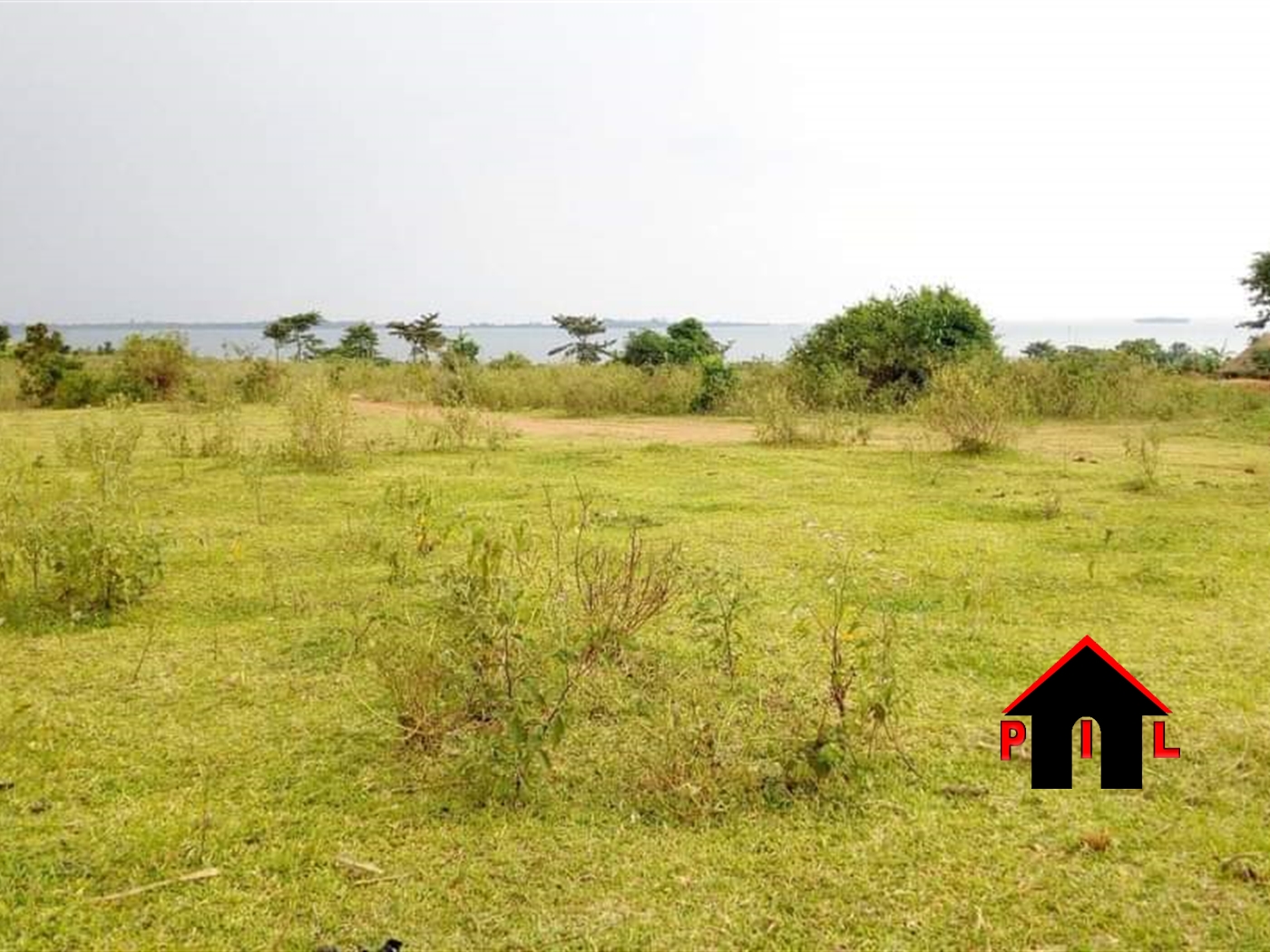 Agricultural Land for rent in Buwaya Mayuge