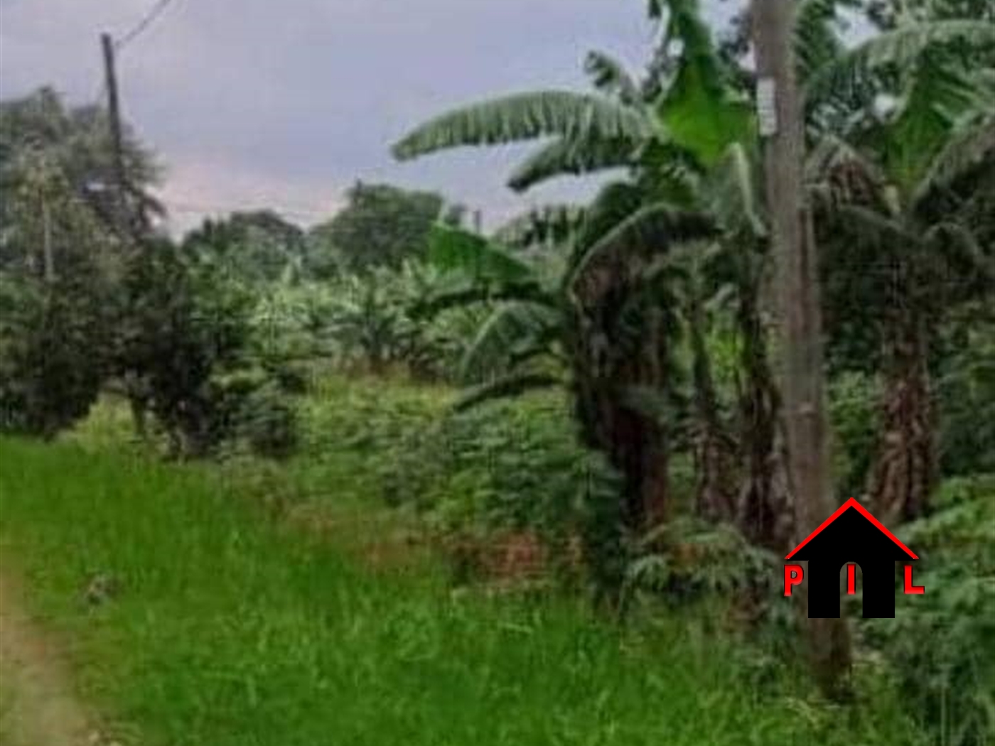 Agricultural Land for sale in Luwombo Buyikwe