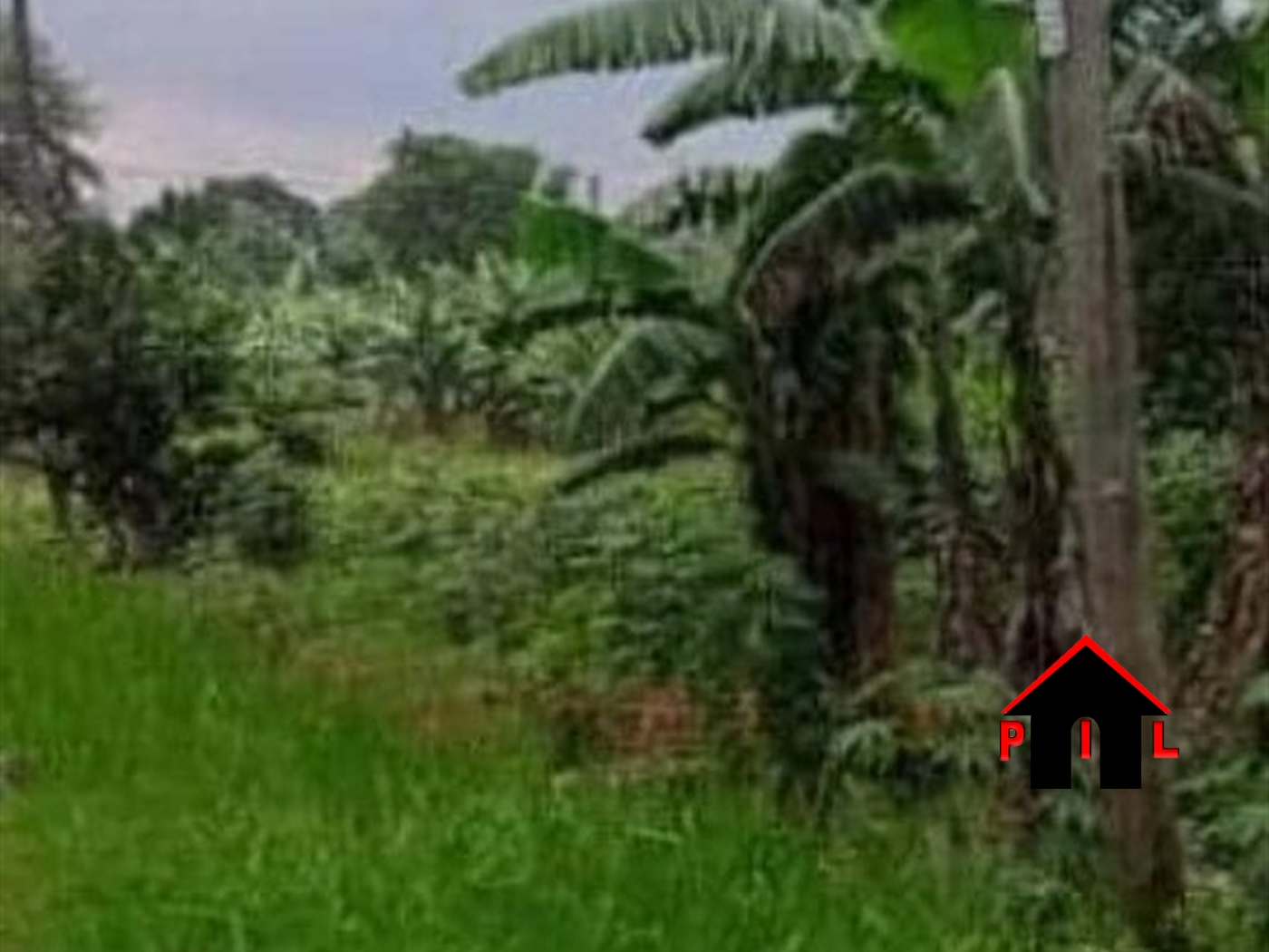 Agricultural Land for sale in Luwombo Buyikwe