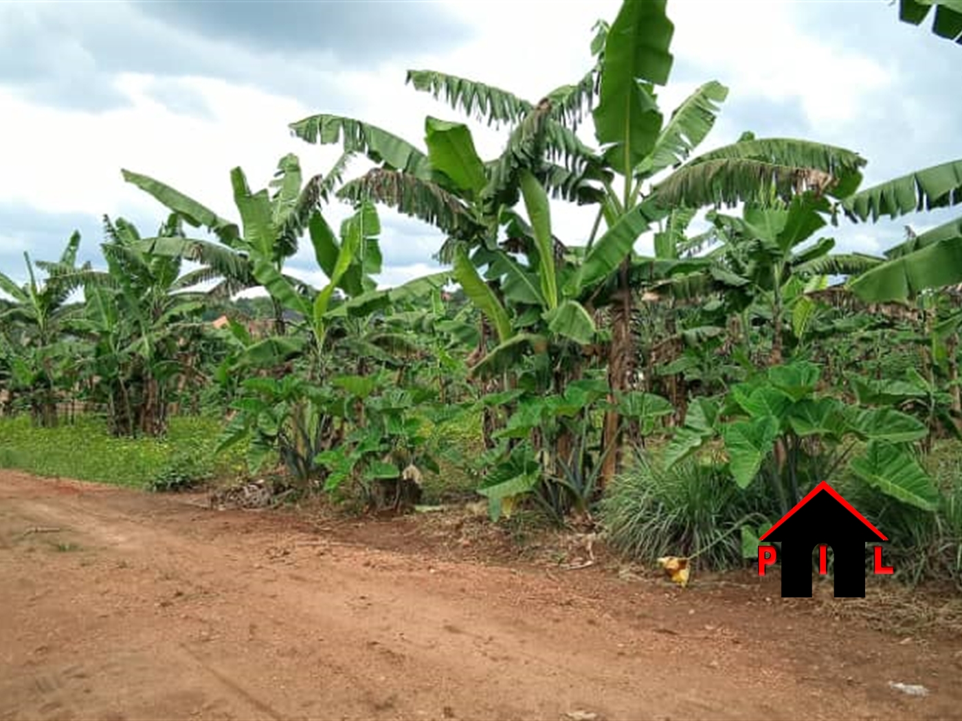 Commercial Land for sale in Gayaza Wakiso