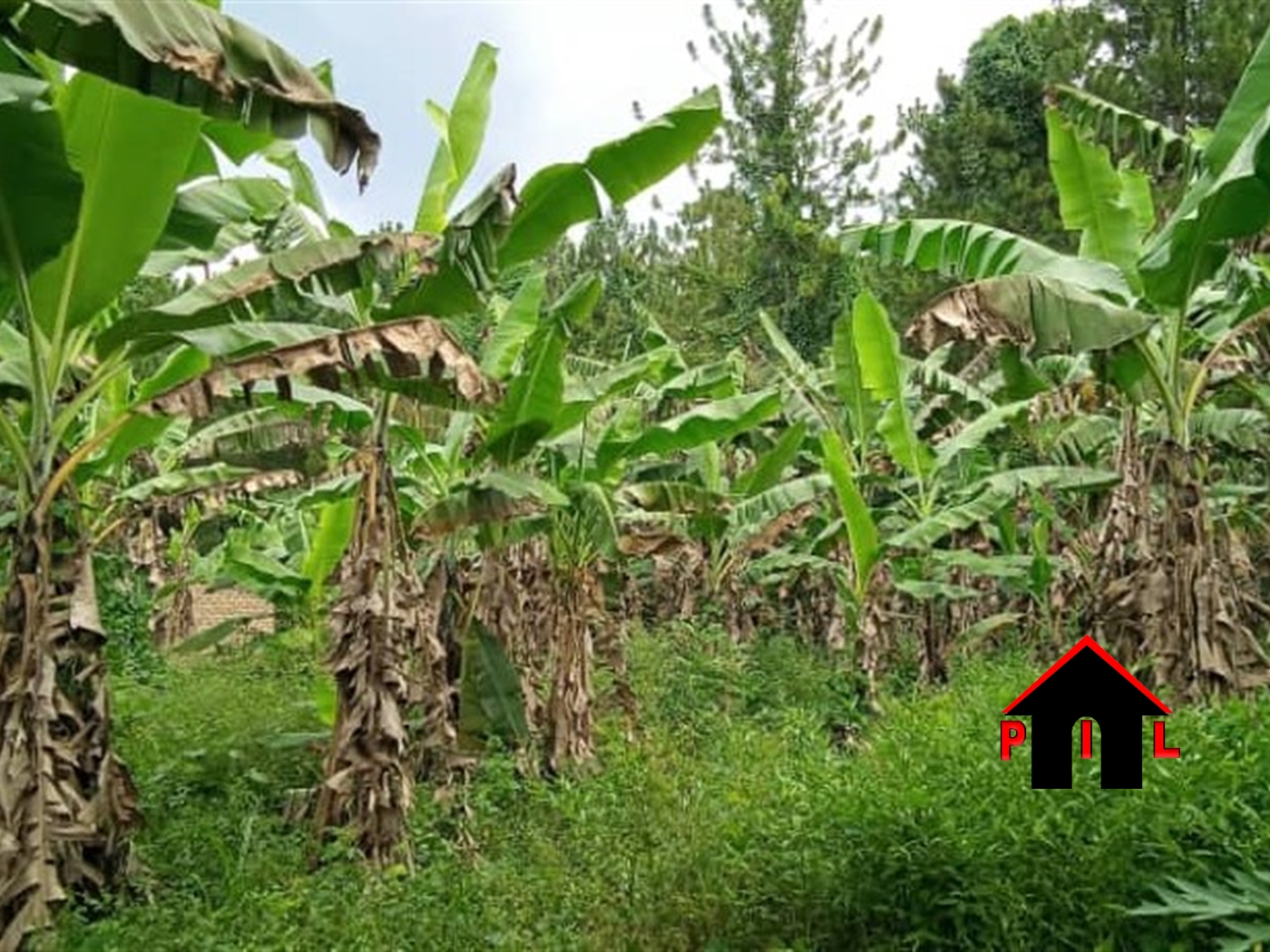 Commercial Land for sale in Gayaza Wakiso