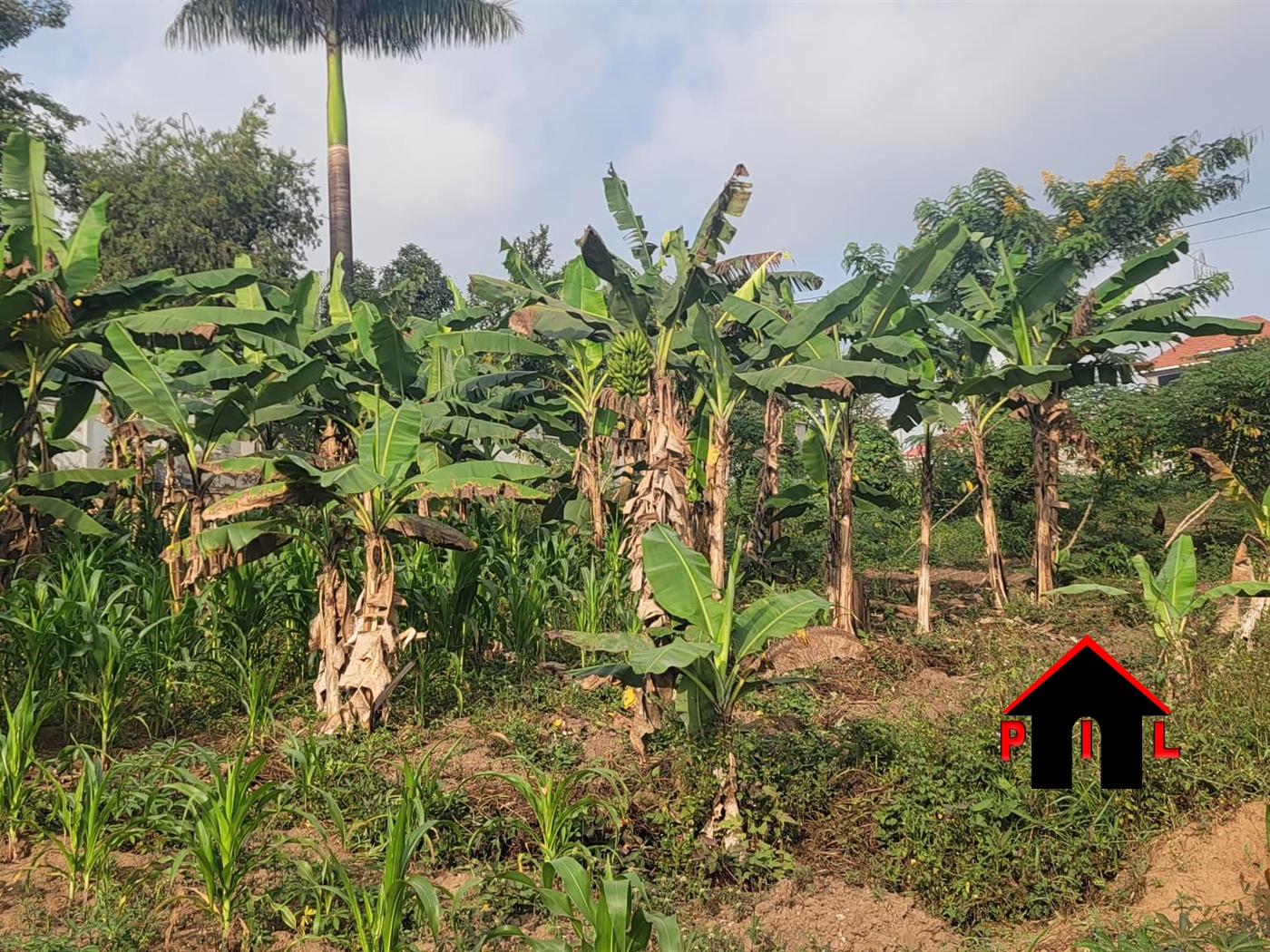 Residential Land for sale in Kira Wakiso