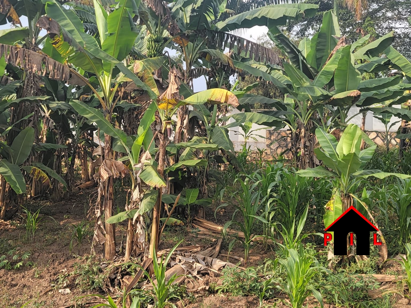 Residential Land for sale in Kira Wakiso