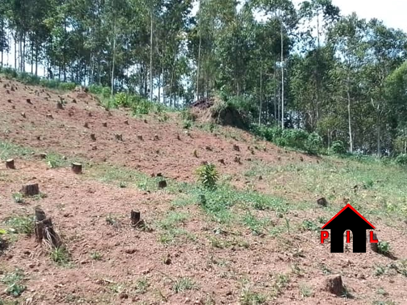 Residential Land for sale in Nakabiso Mpigi