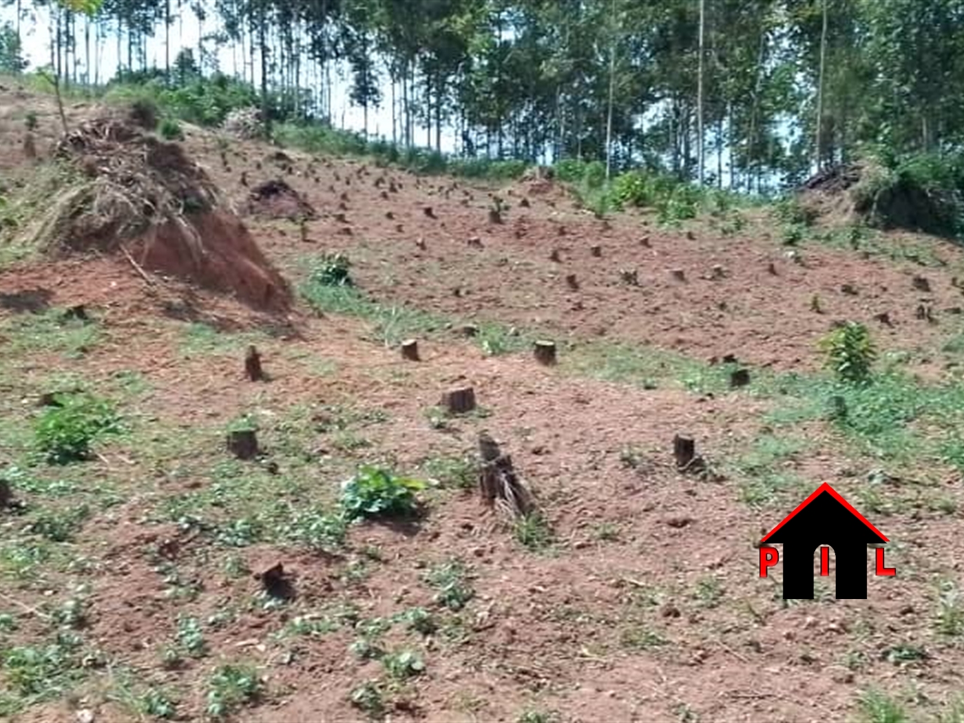 Residential Land for sale in Nakabiso Mpigi