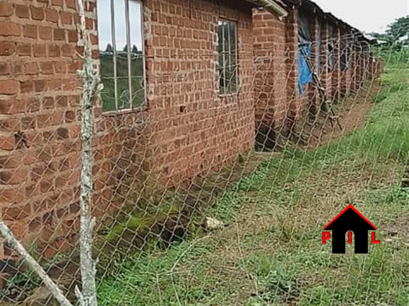 Farm for sale in Busiro Wakiso