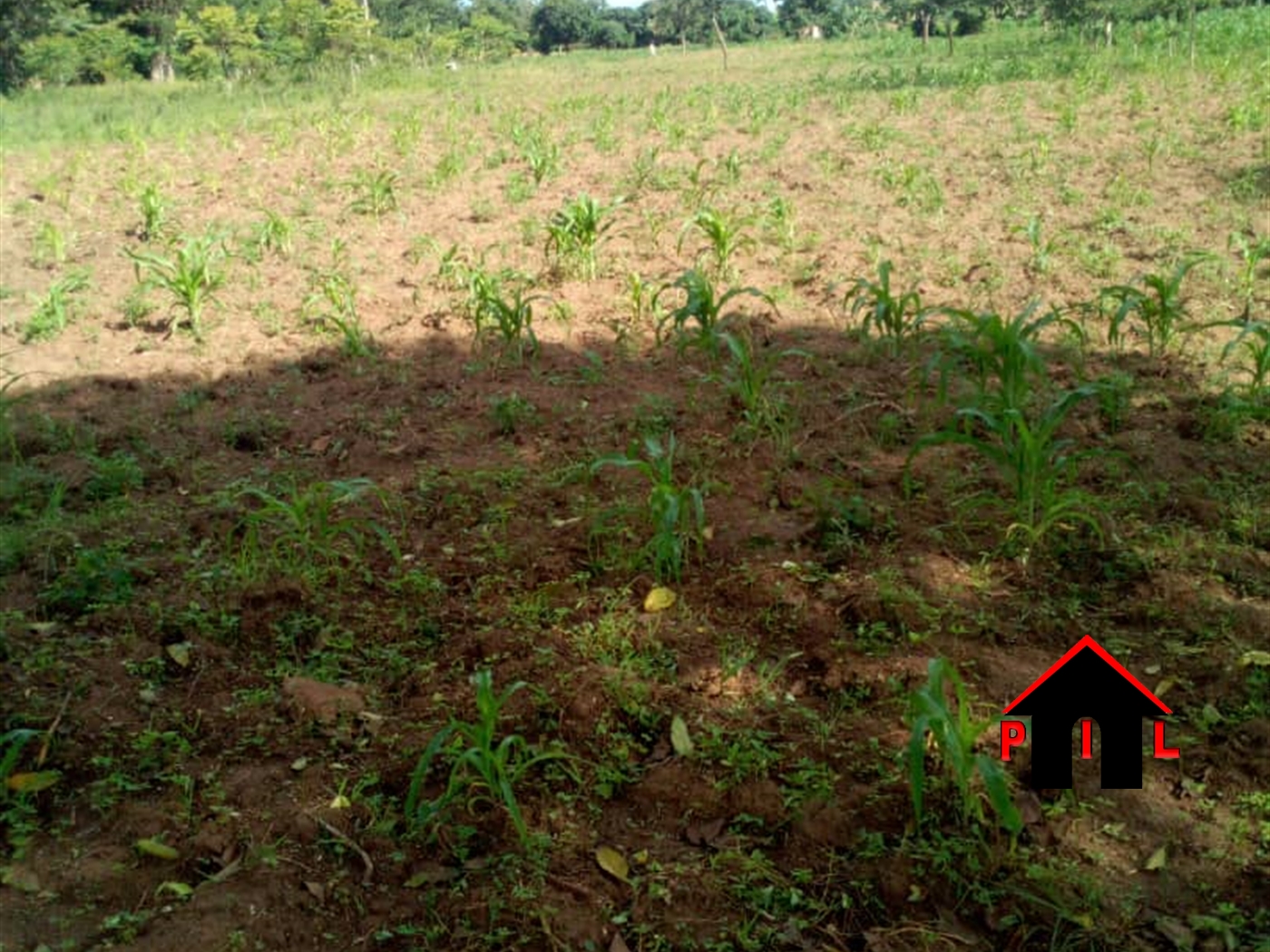 Commercial Land for sale in Kiyanja Mukono