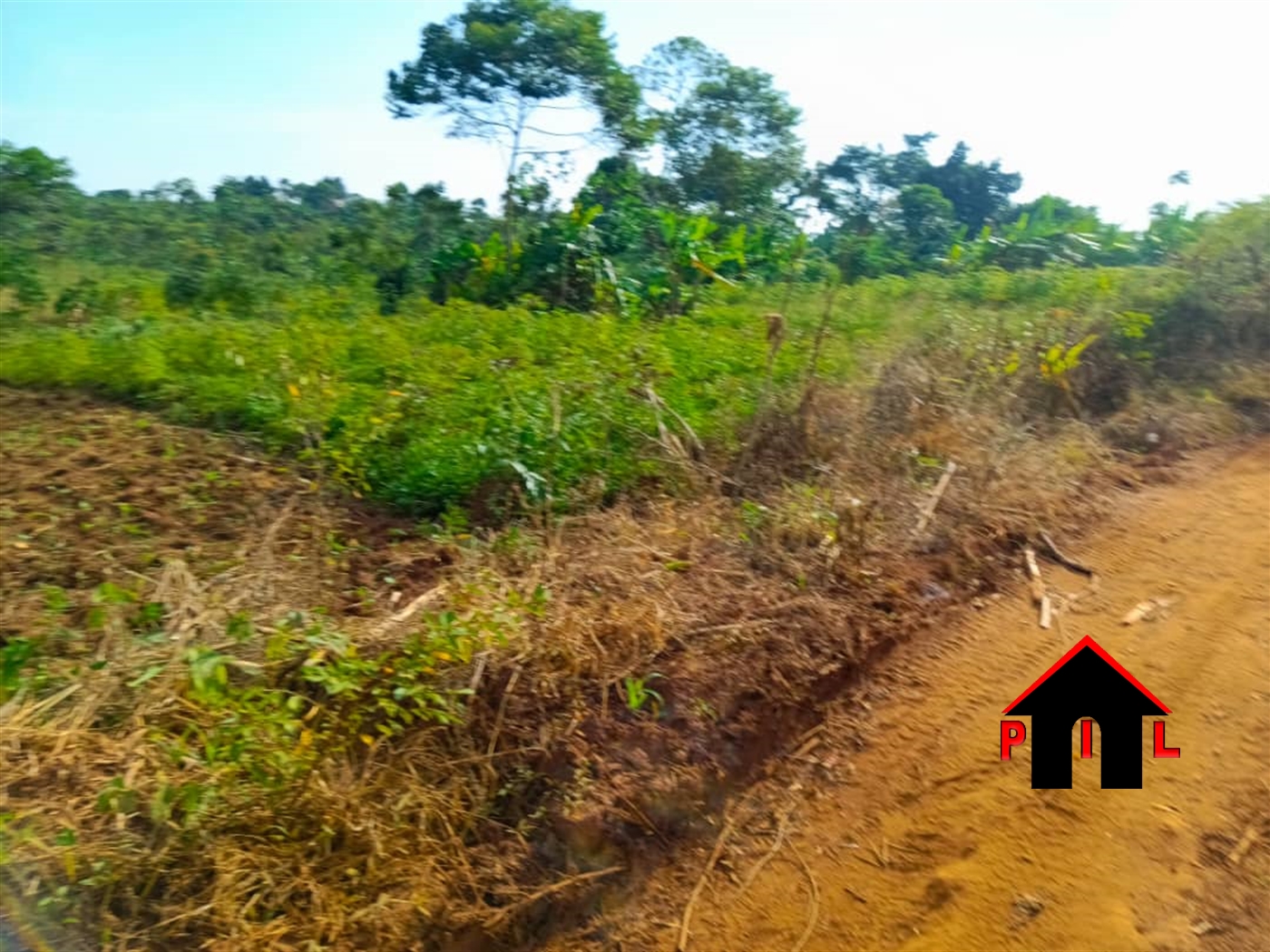 Commercial Land for sale in Nsanja Mukono