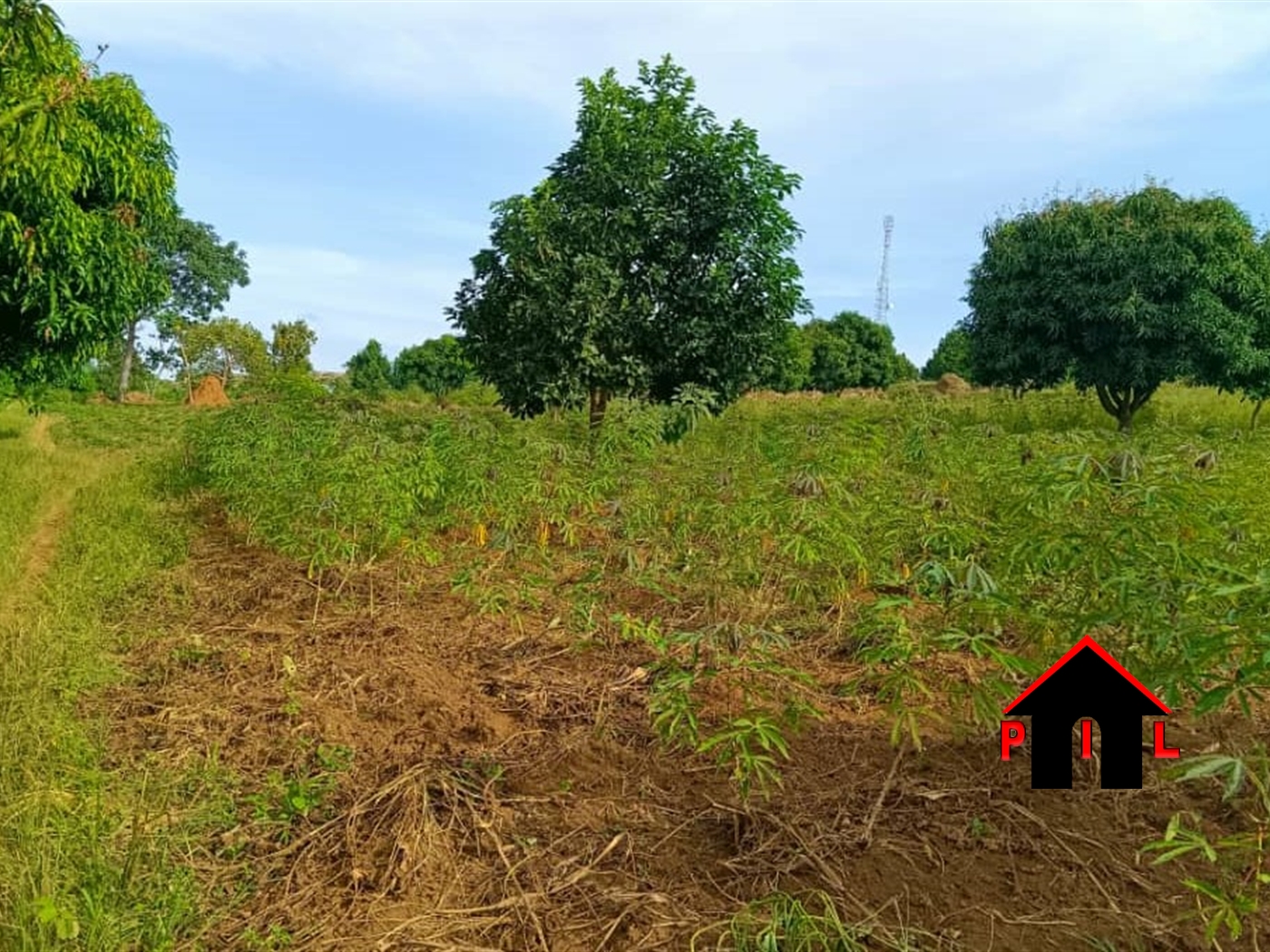 Commercial Land for sale in Nsanja Mukono