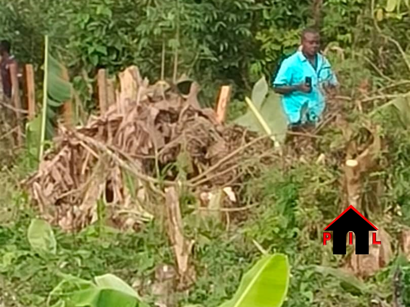 Agricultural Land for sale in Kasana Luweero