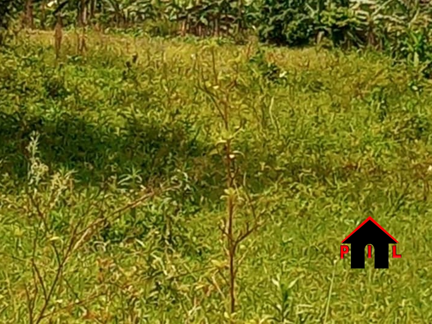 Residential Land for sale in Kijabijo Wakiso