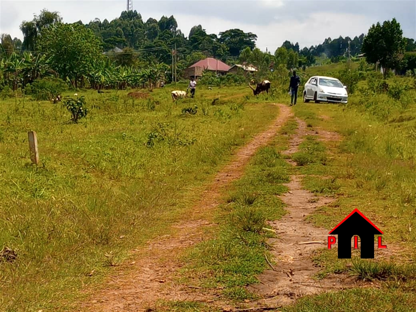 Residential Land for sale in Kijabijo Wakiso