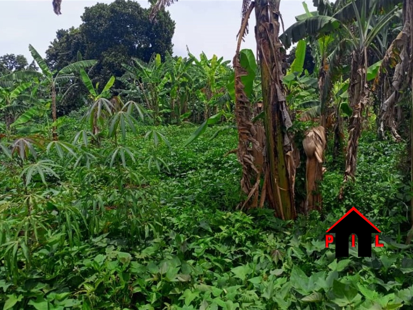 Residential Land for sale in Kawanda Wakiso