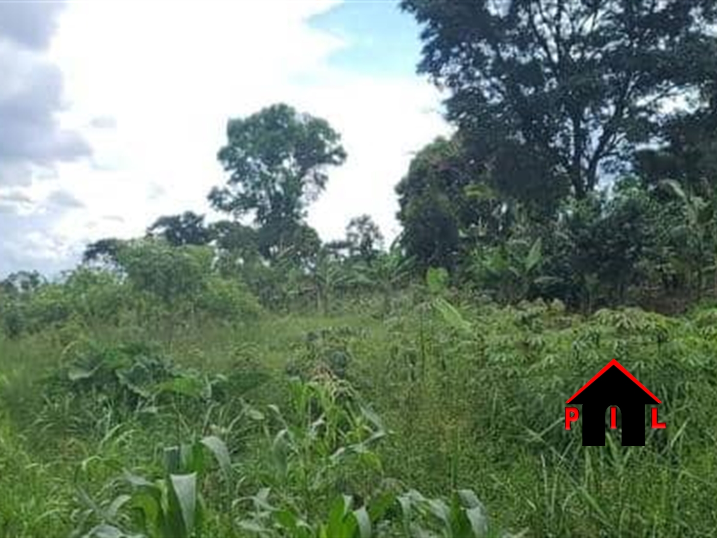 Commercial Land for sale in Matugga Wakiso