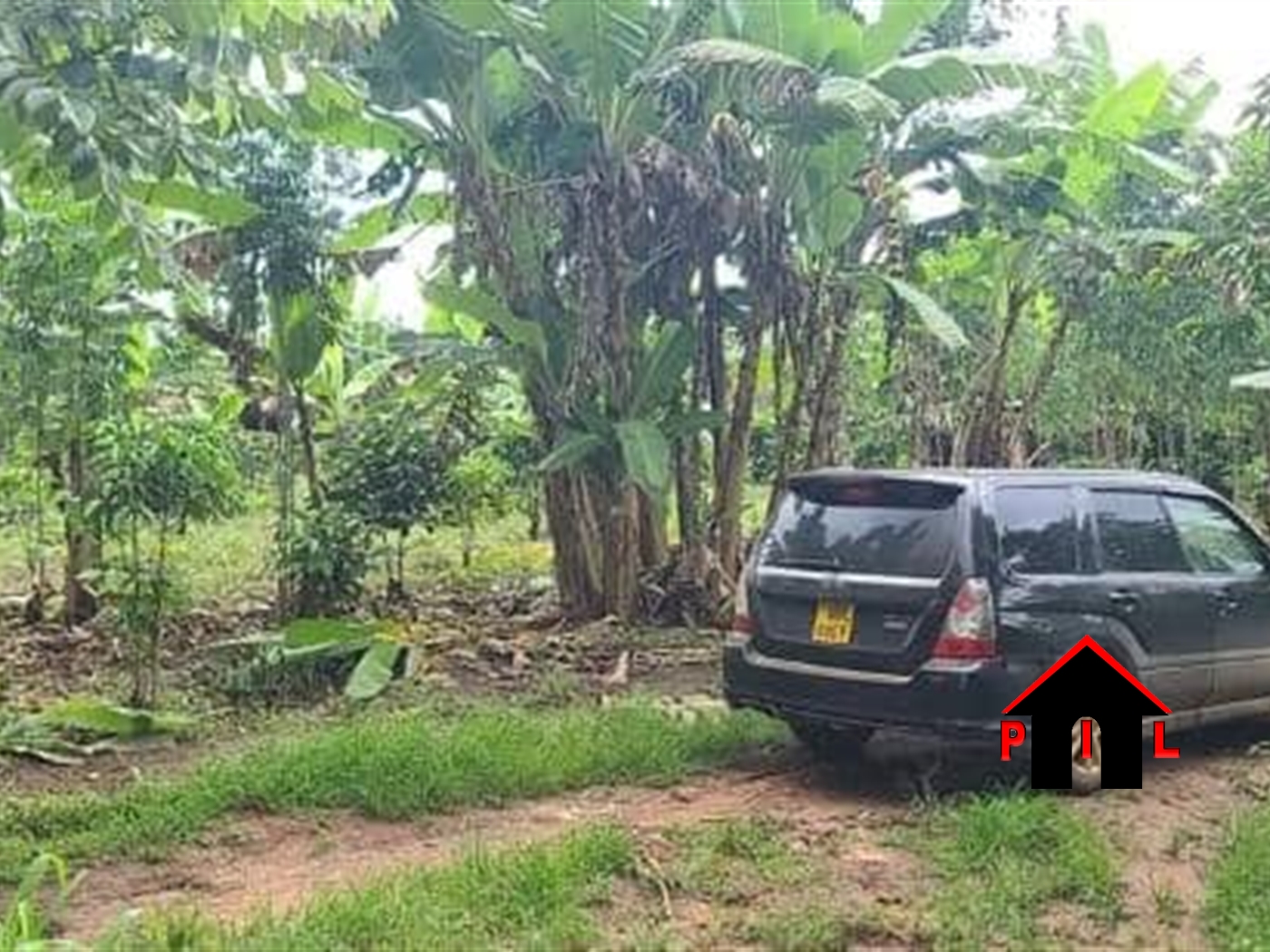 Commercial Land for sale in Matugga Wakiso