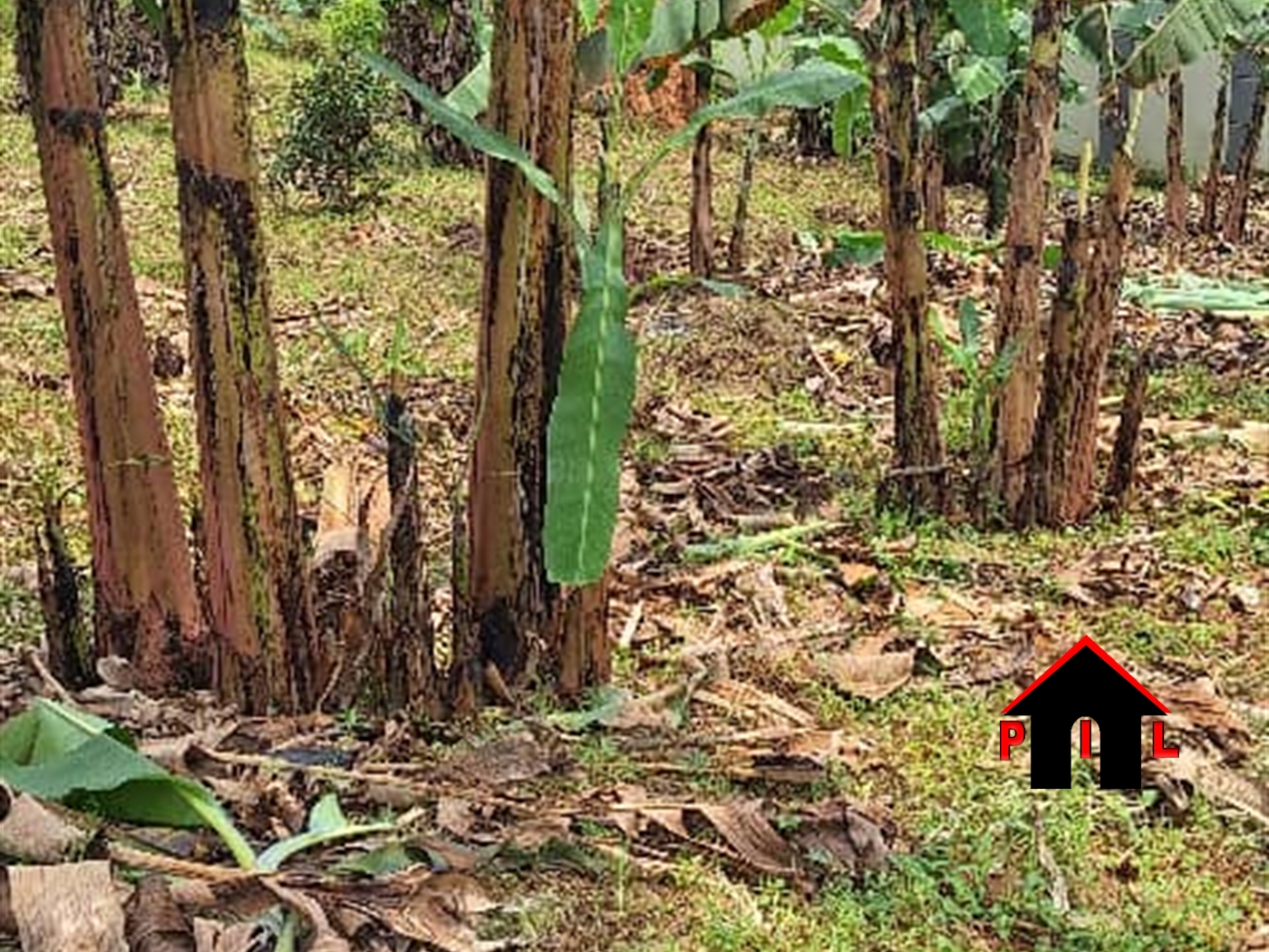 Residential Land for sale in Kira Wakiso