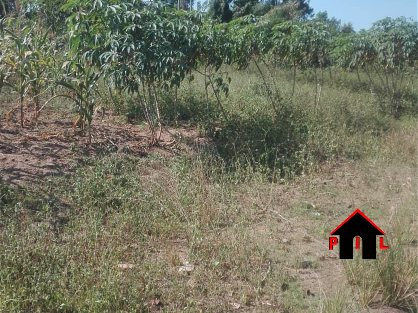 Commercial Land for sale in Masakatwn Nakasongola