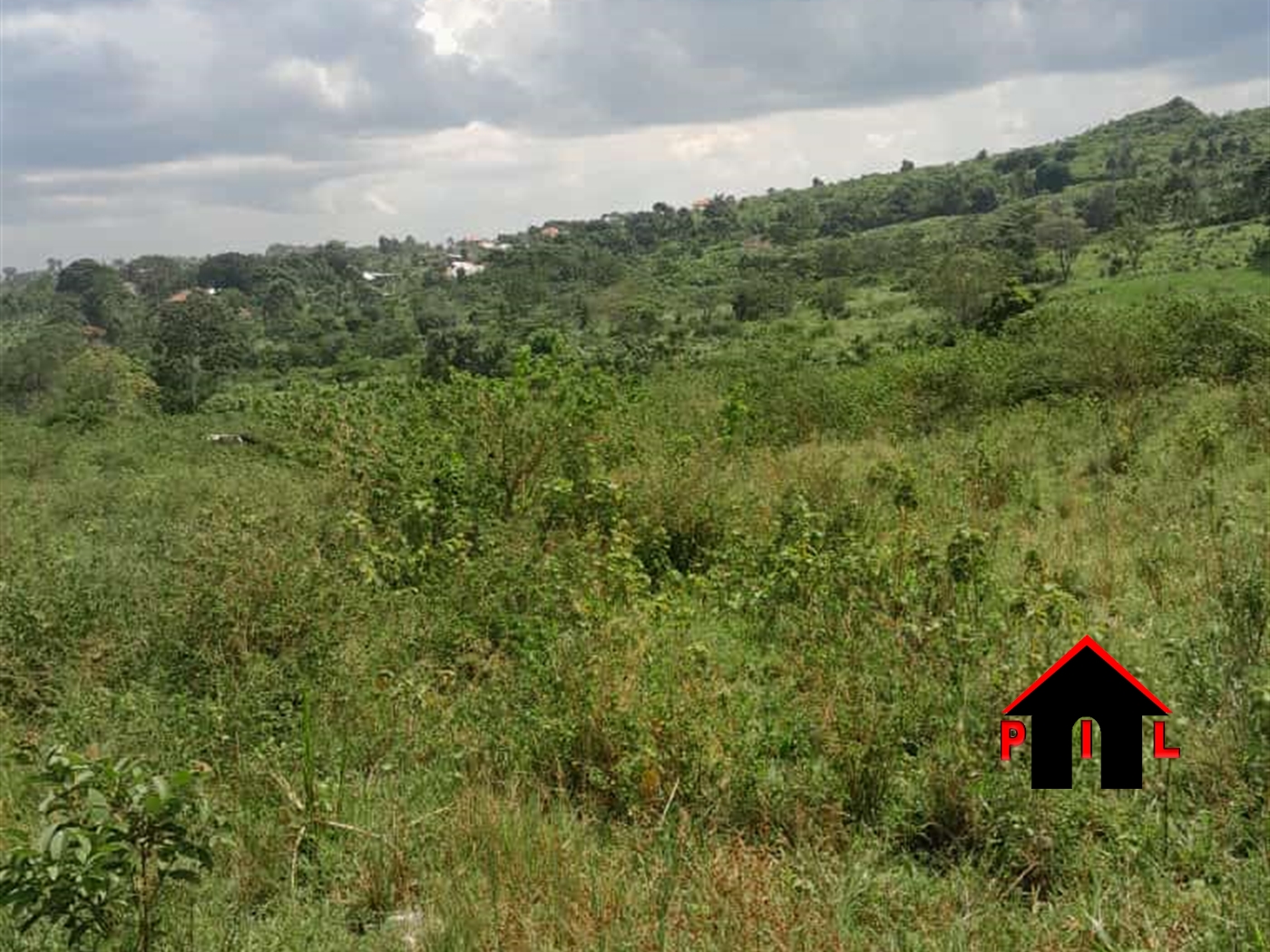 Commercial Land for sale in Nakasanja Mukono