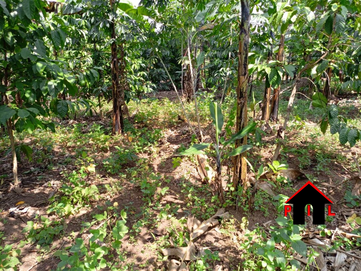 Commercial Land for sale in Kyamuwooya Luweero