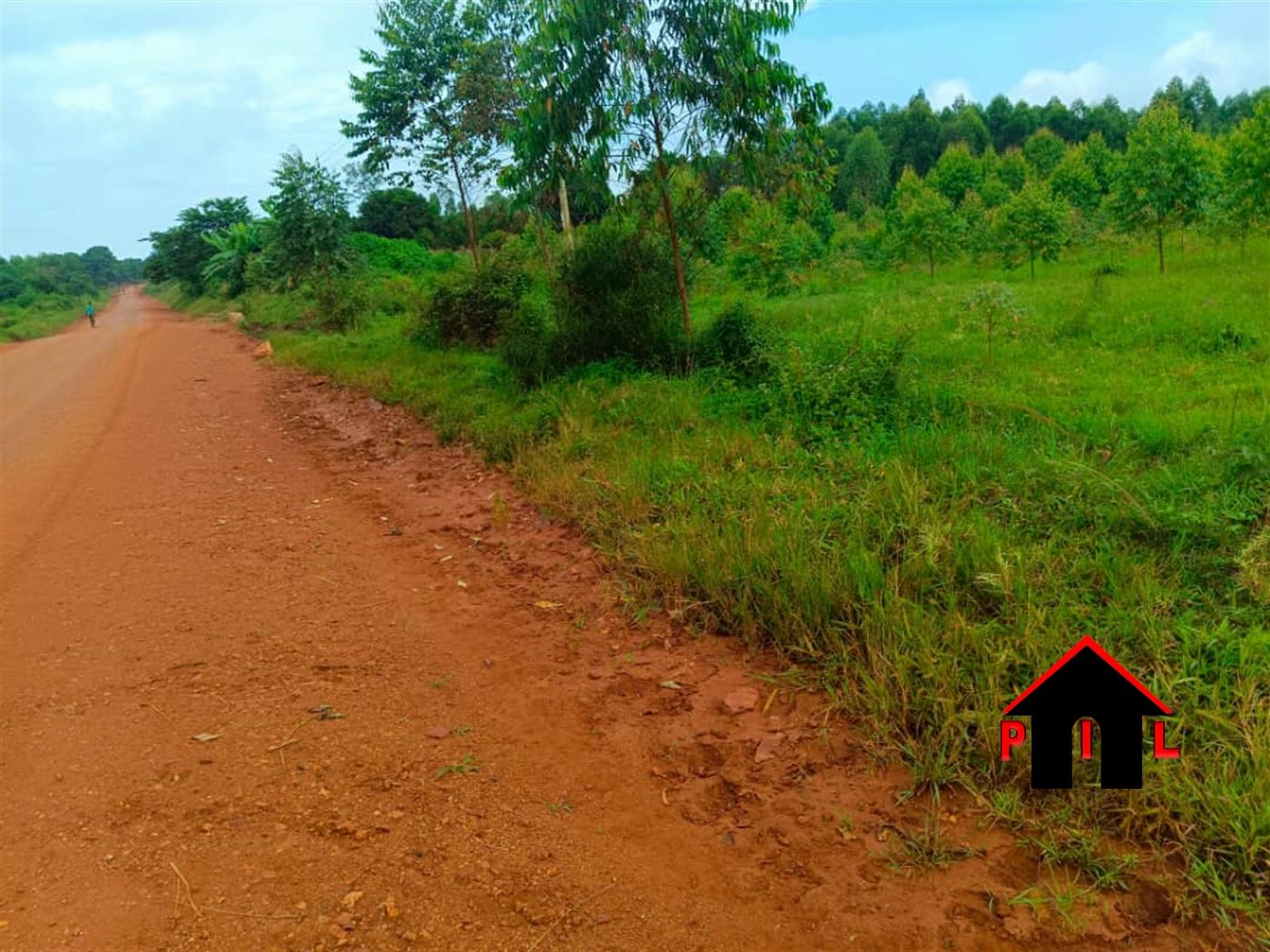 Commercial Land for sale in Zirobwee Luweero