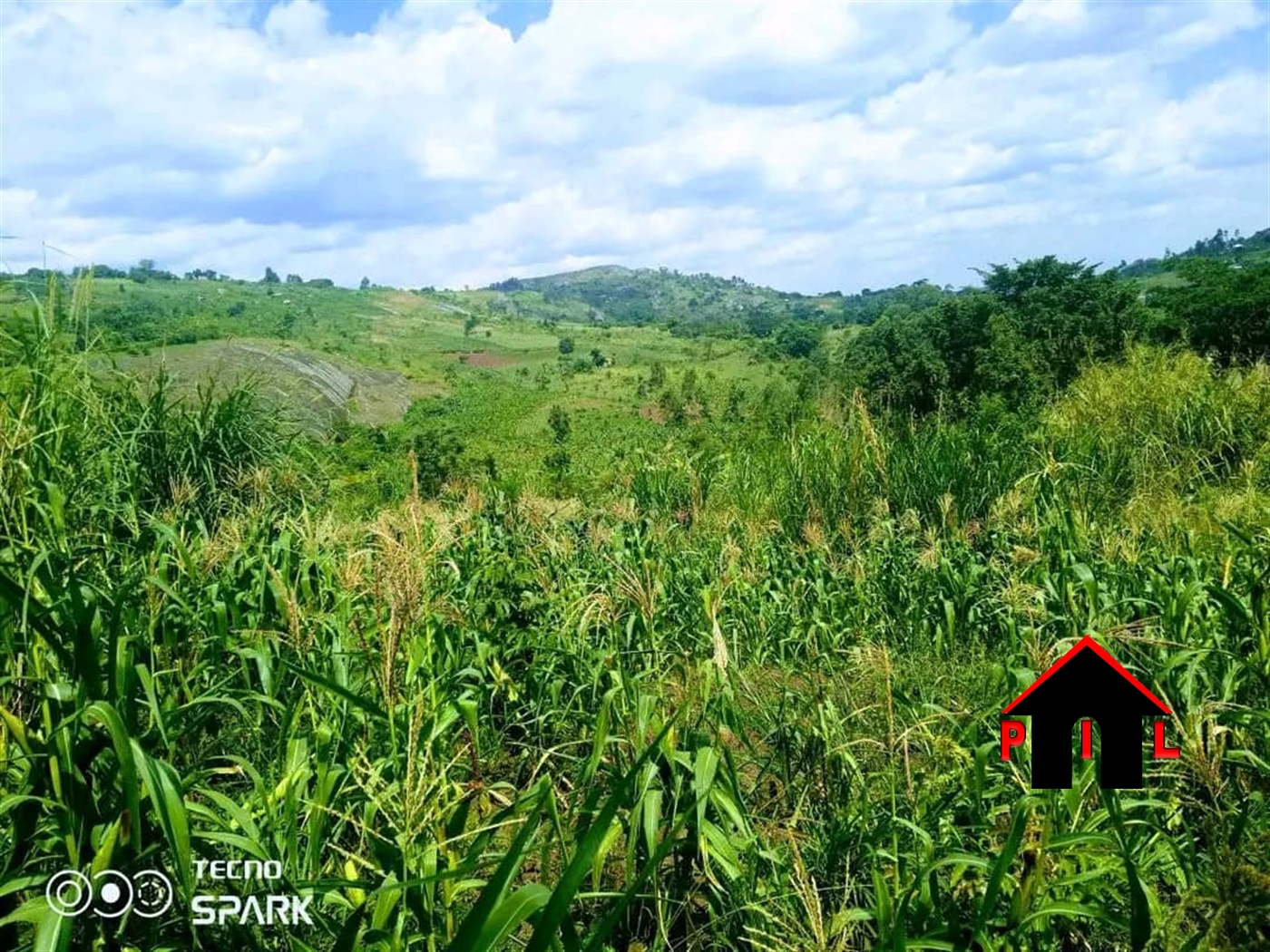 Commercial Land for sale in Kyegegwatwn Kyegegwa