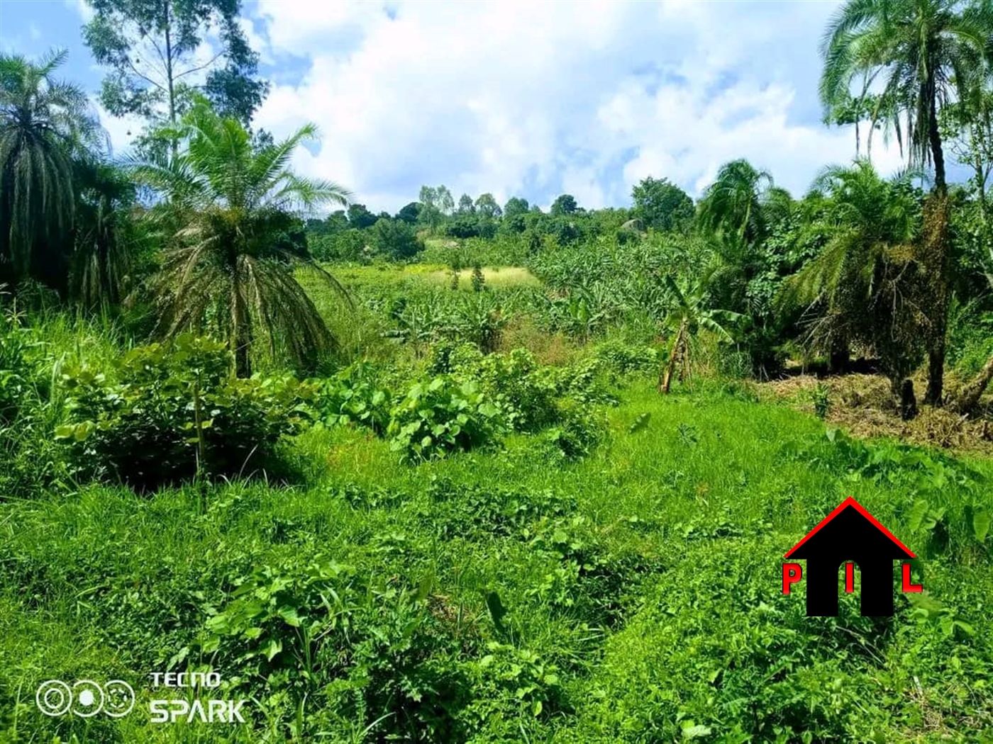 Commercial Land for sale in Kyegegwatwn Kyegegwa