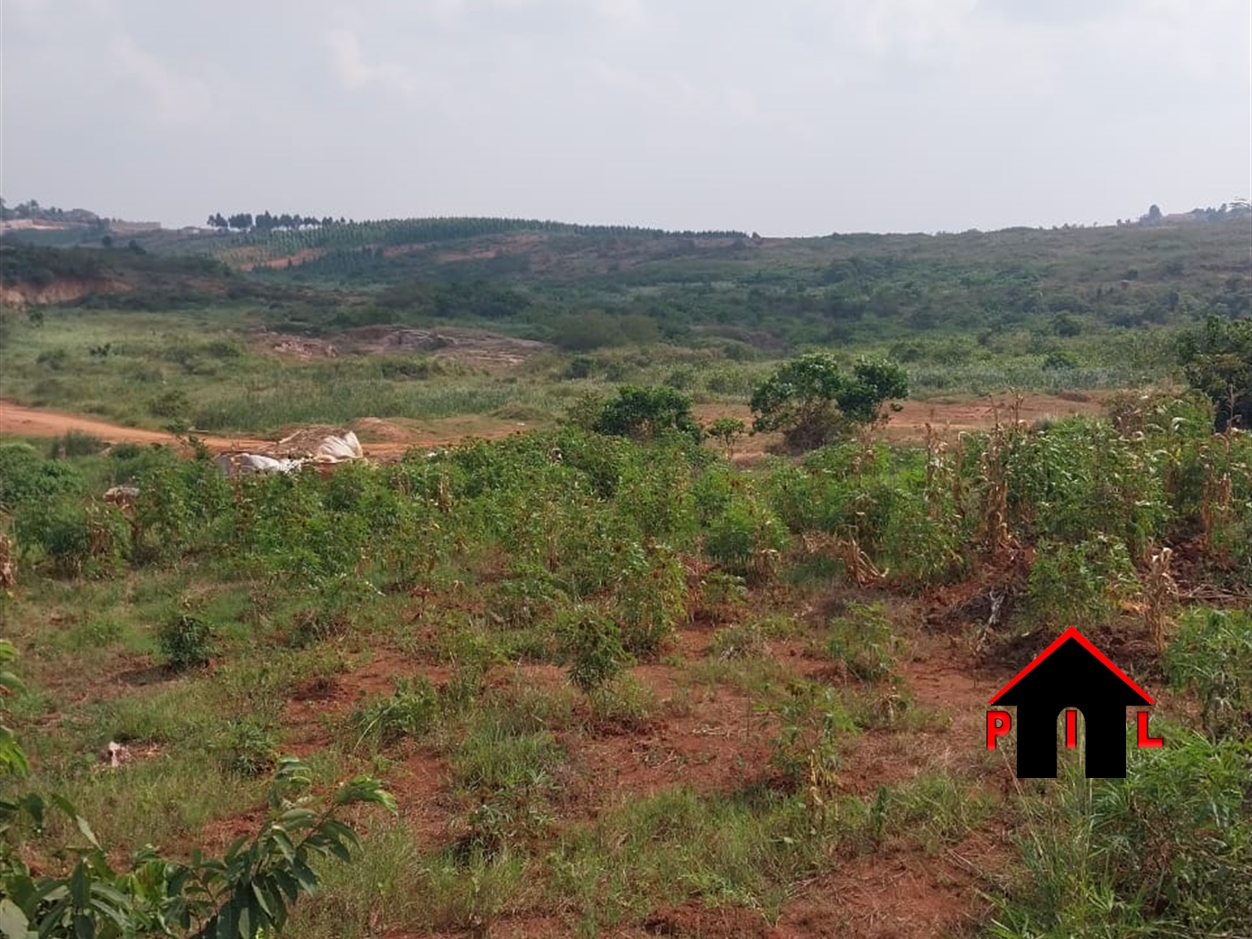 Commercial Land for sale in Seeta Mukono