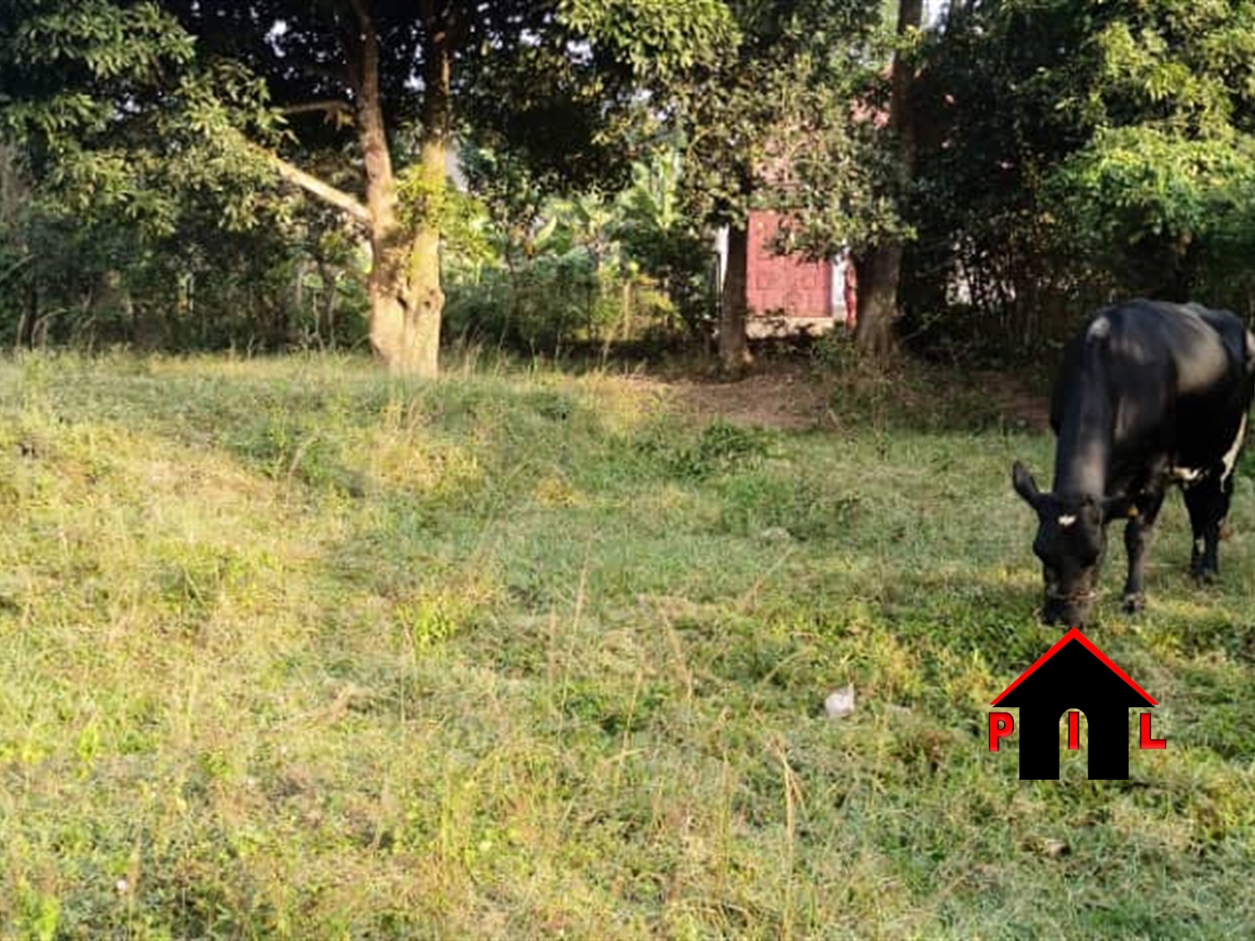 Commercial Land for sale in Kitemu Wakiso