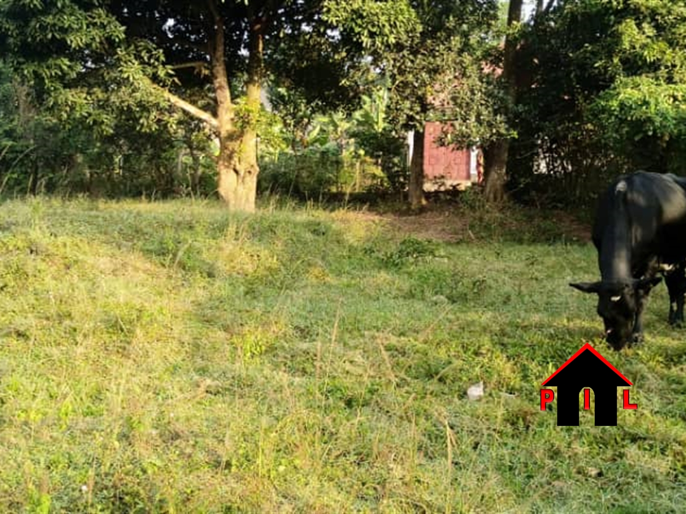 Commercial Land for sale in Kitemu Wakiso