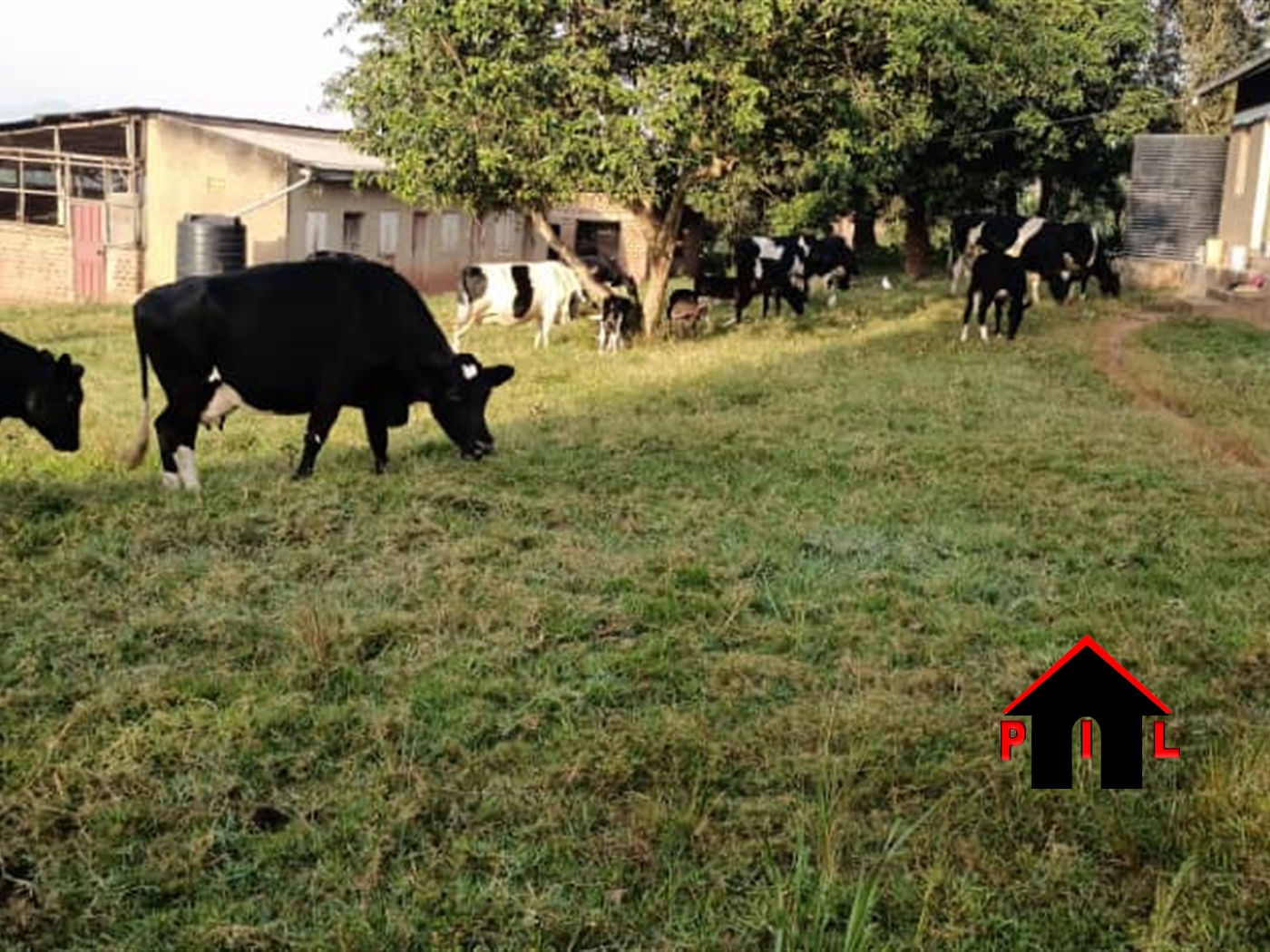 Commercial Land for sale in Kitemu Wakiso