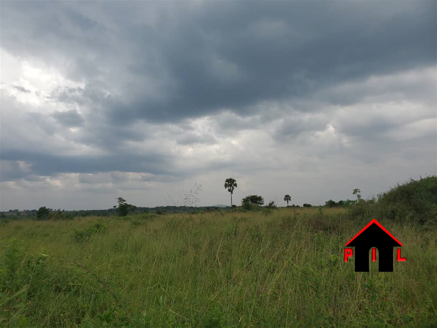 Agricultural Land for sale in Kikyuusa Luweero