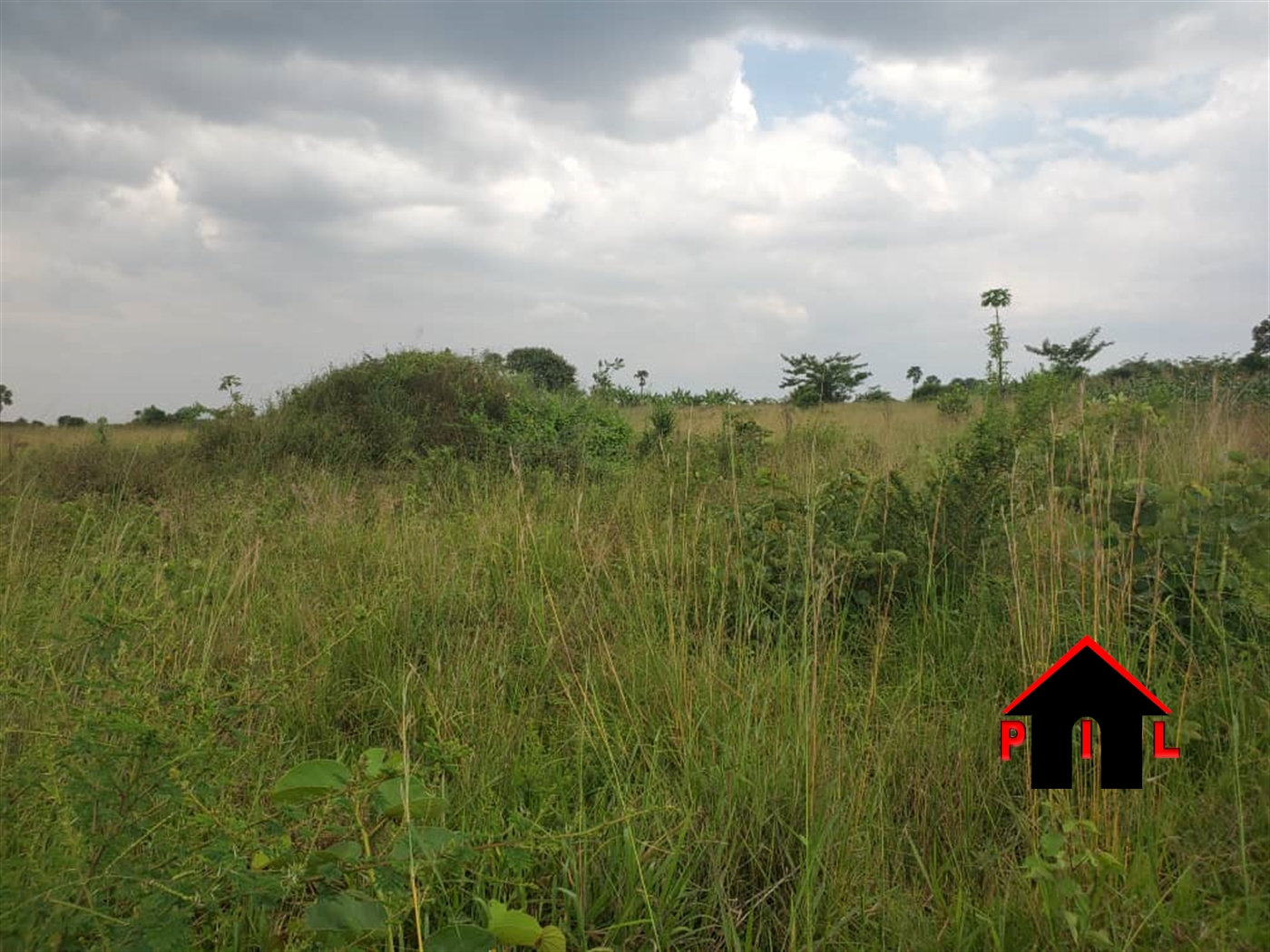 Agricultural Land for sale in Kikyuusa Luweero