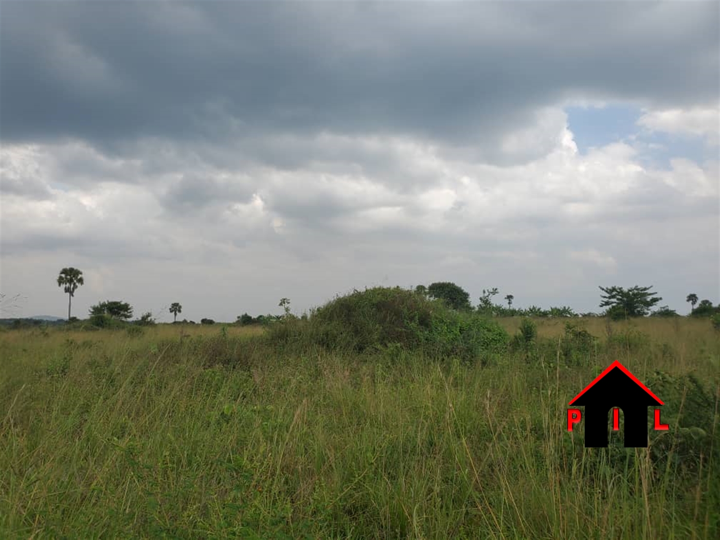 Agricultural Land for sale in Kikyuusa Luweero