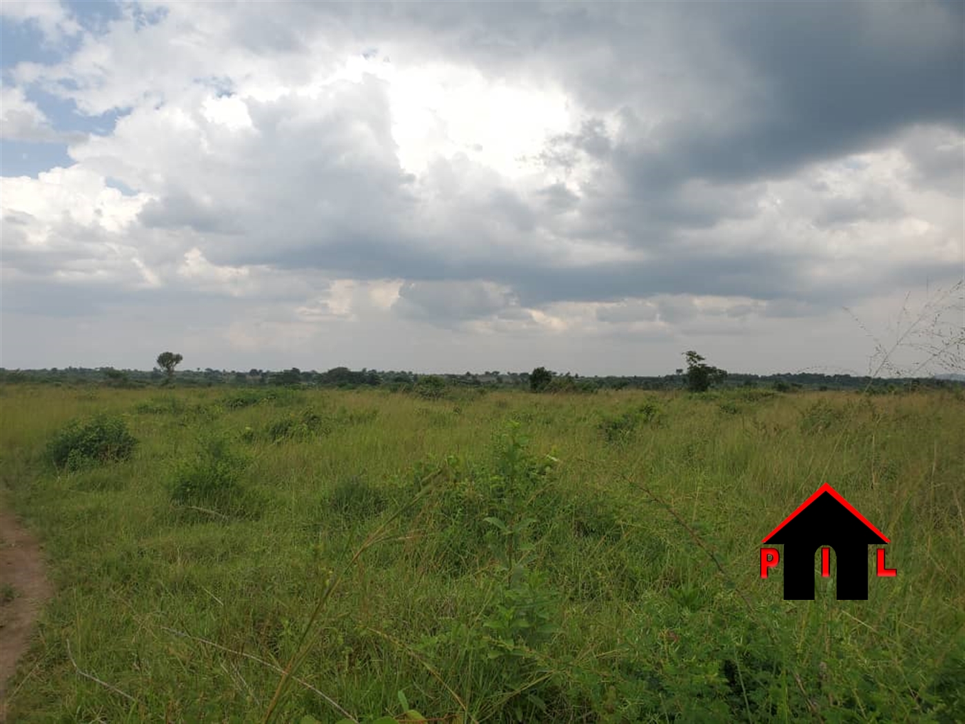 Agricultural Land for sale in Kikyuusa Luweero