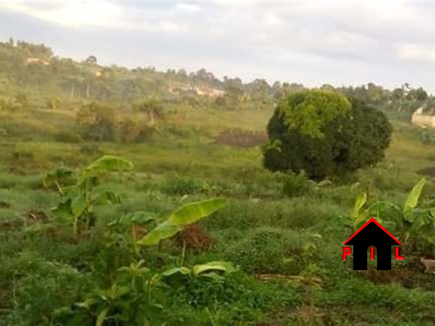 Agricultural Land for sale in Kikyuusa Luweero