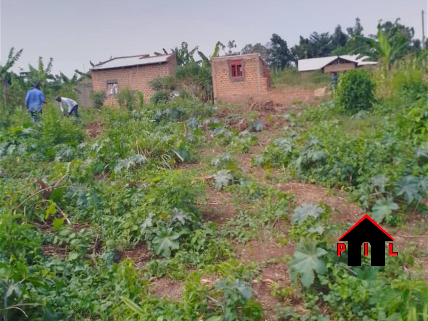 Residential Land for sale in Busiika Luweero